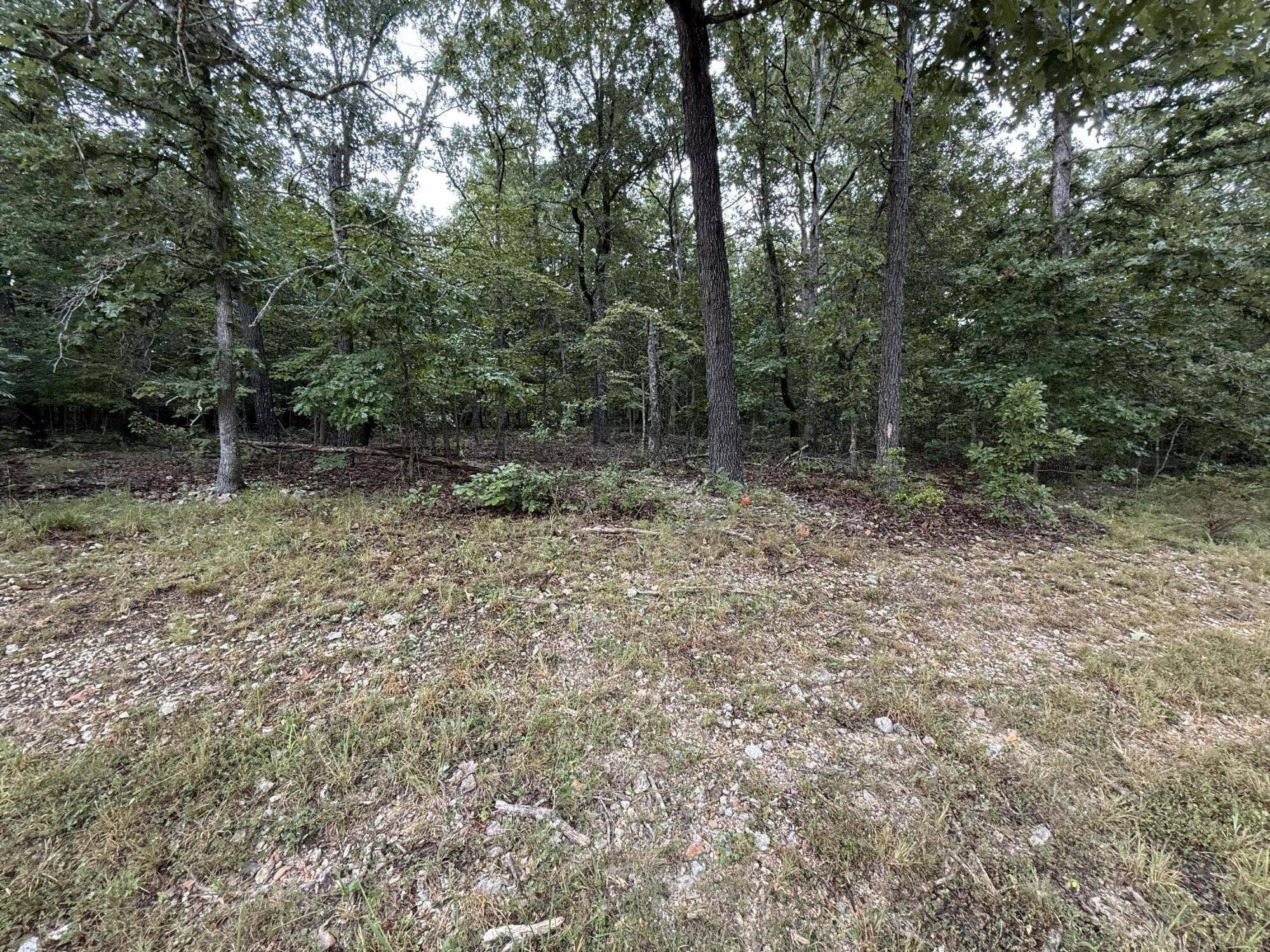 000 Private Road 2532, Mountain View, MO 65548