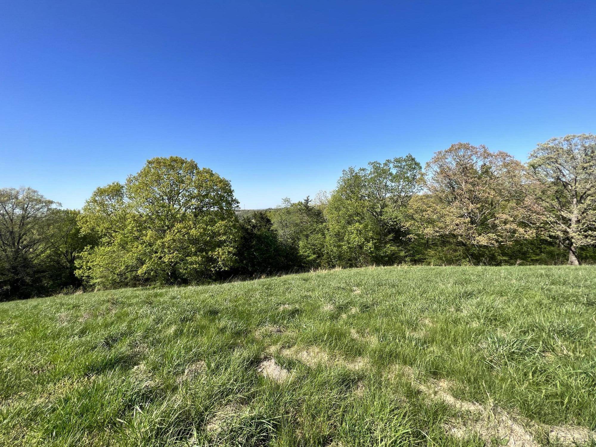 Lot 58 Eagle Crest CIR, Hollister, MO 65672