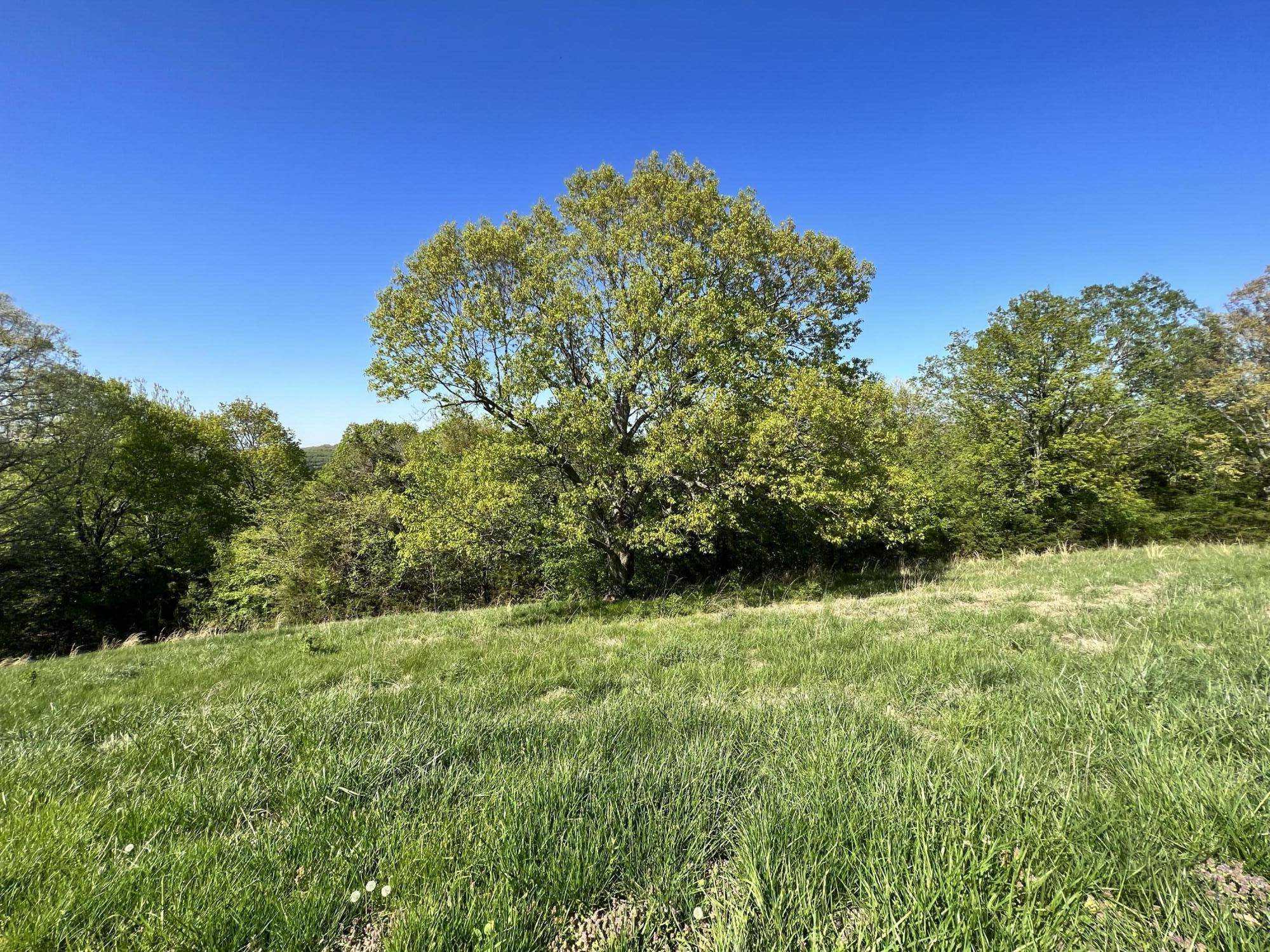 Lot 58 Eagle Crest CIR, Hollister, MO 65672