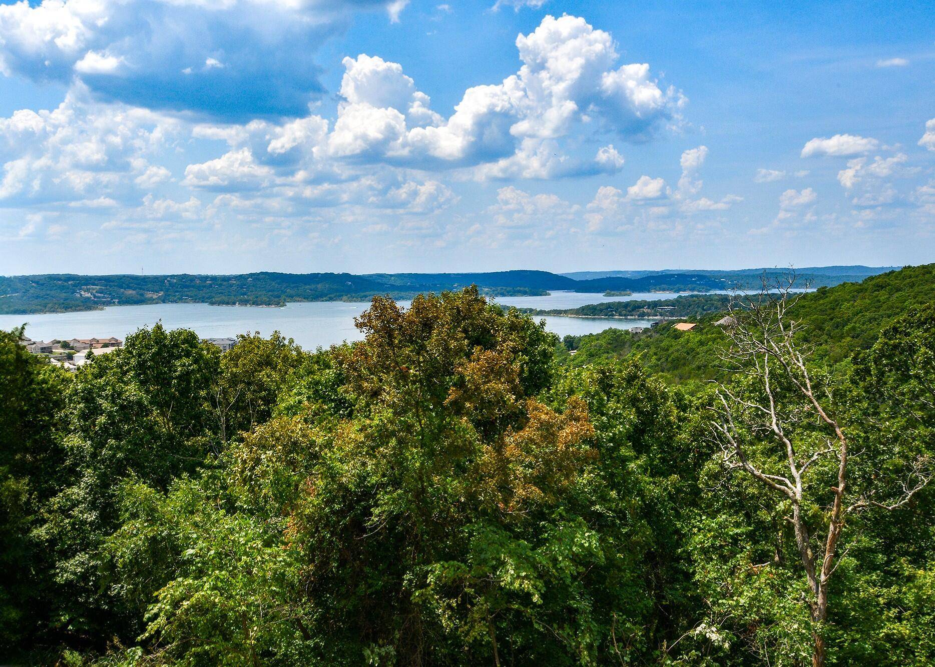 290 Eagle Crest, Hollister, MO 65672