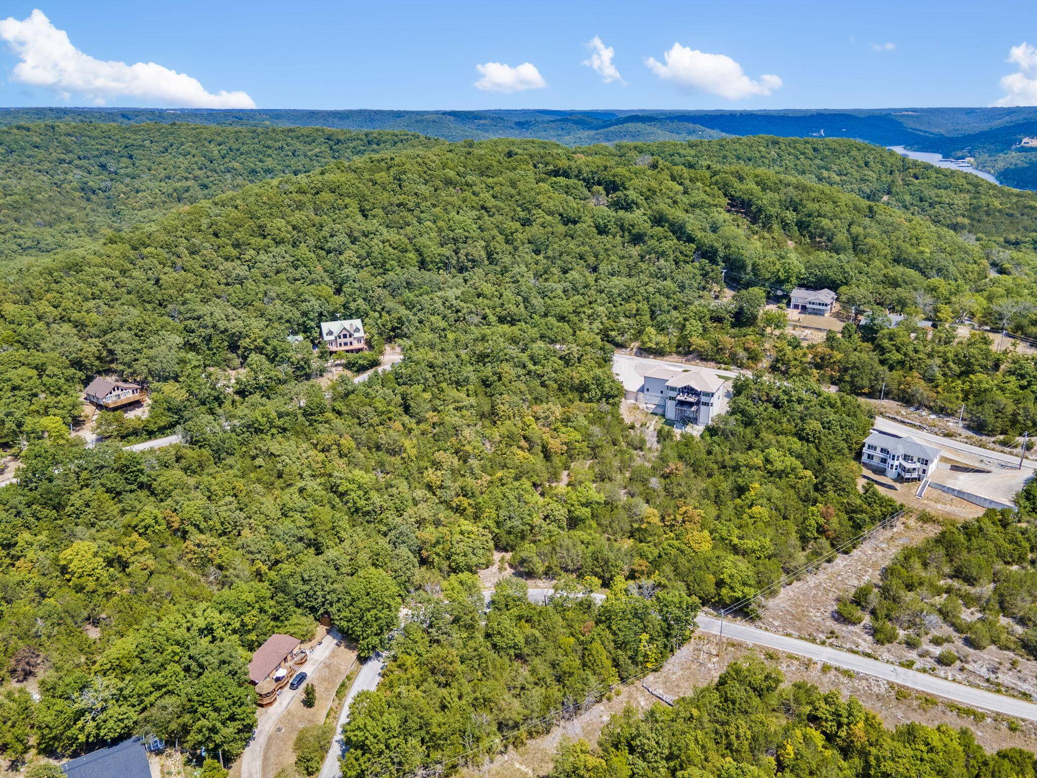 Lot 81 Jackson Hollow RD, Galena, MO 65656