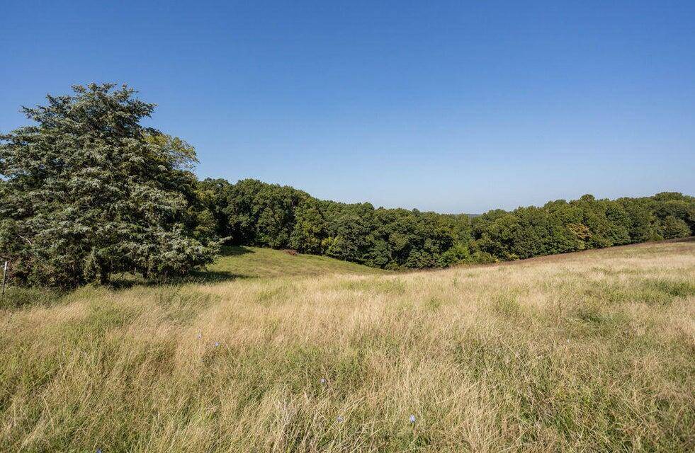 16478 Farm Road 1170, Cassville, MO 65623