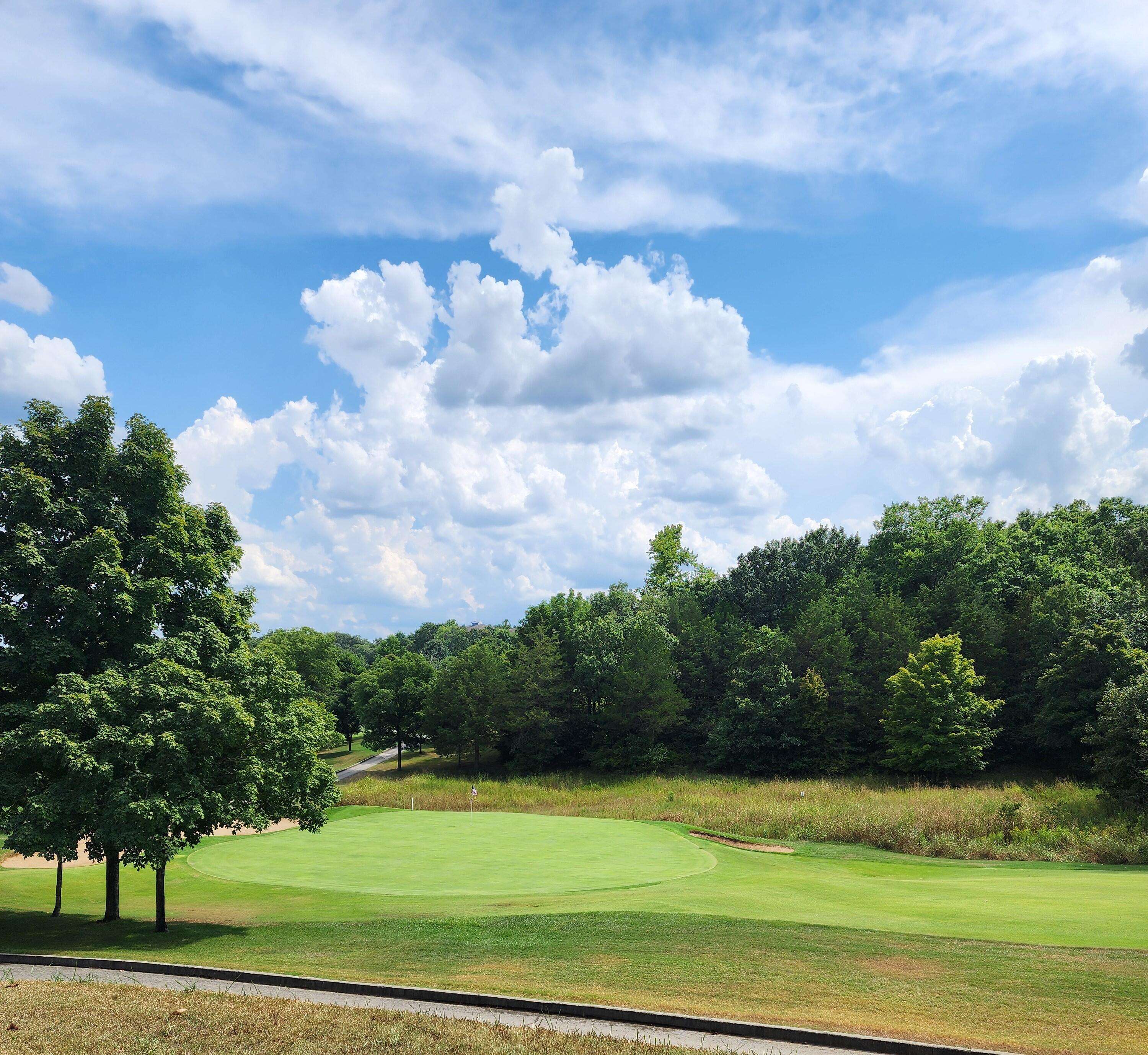 200 Golf View DR #Unit 5, Branson, MO 65616
