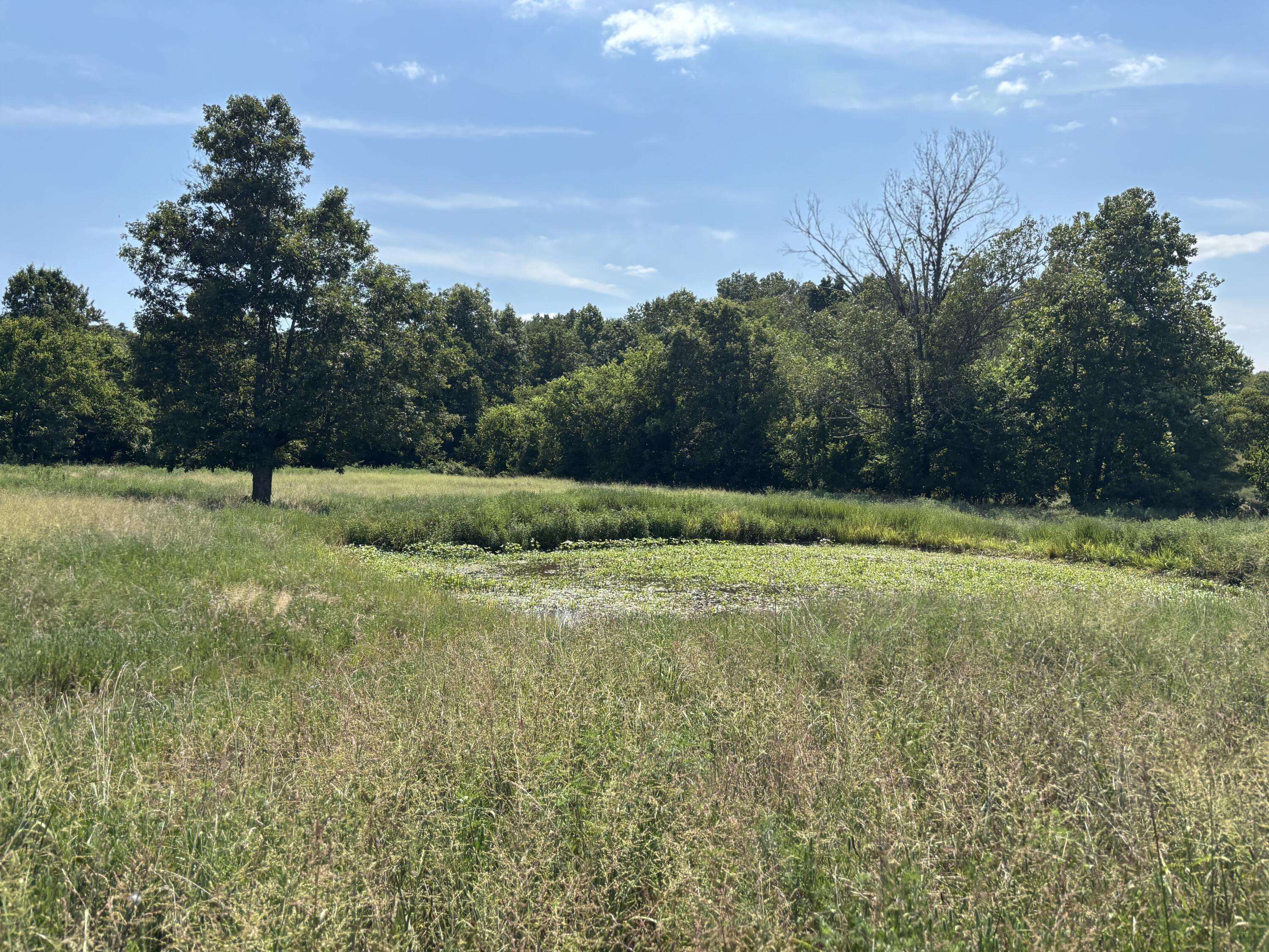 000 County Road 534, Ellington, MO 63638