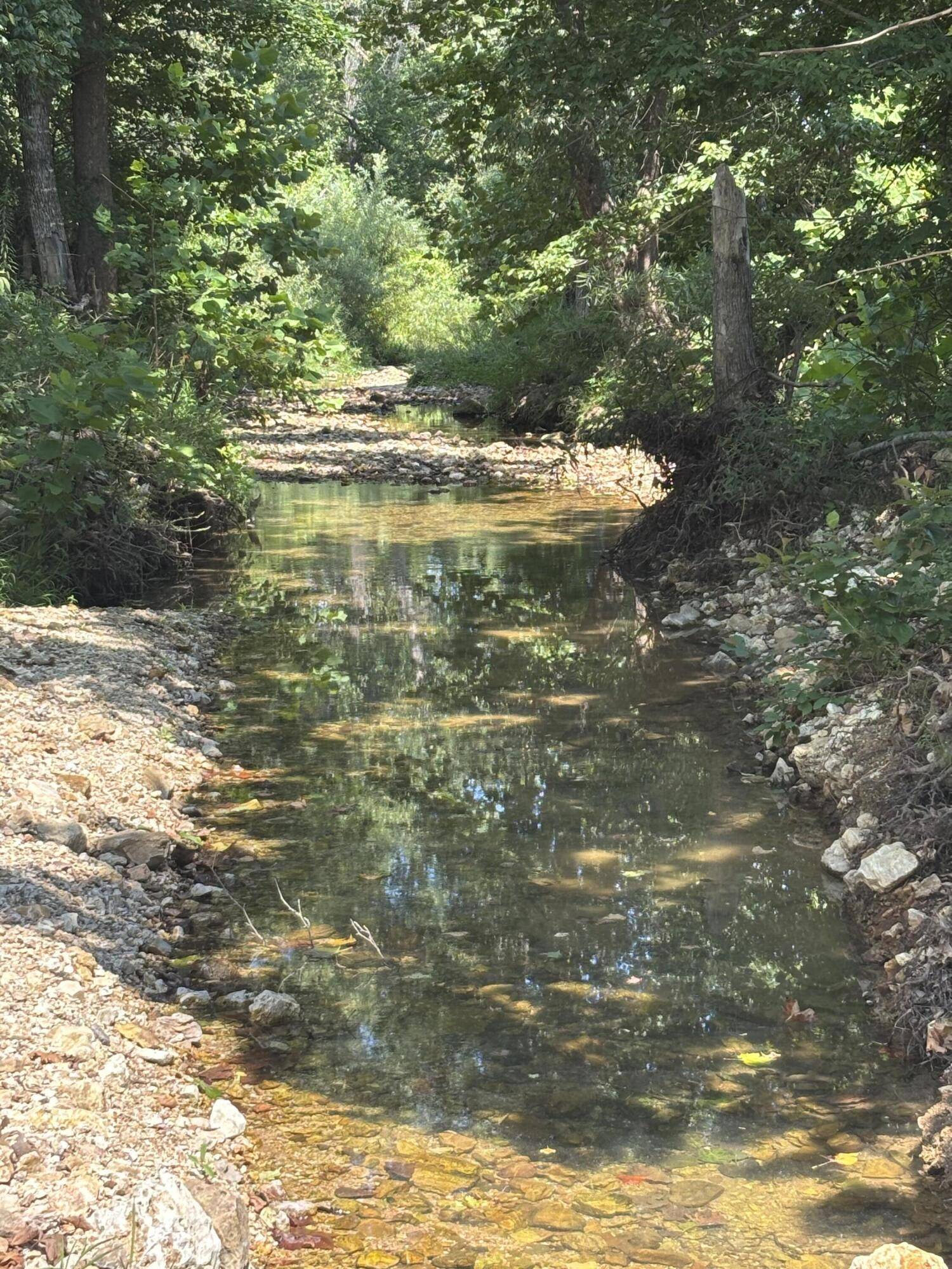 000 County Road 534, Ellington, MO 63638