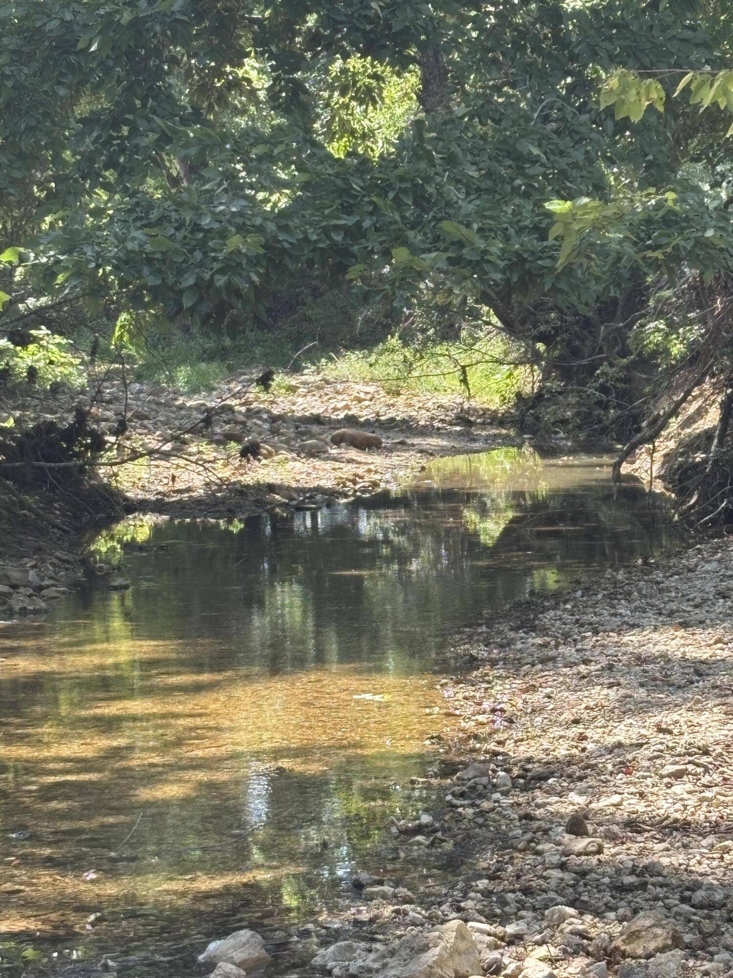 000 County Road 534, Ellington, MO 63638