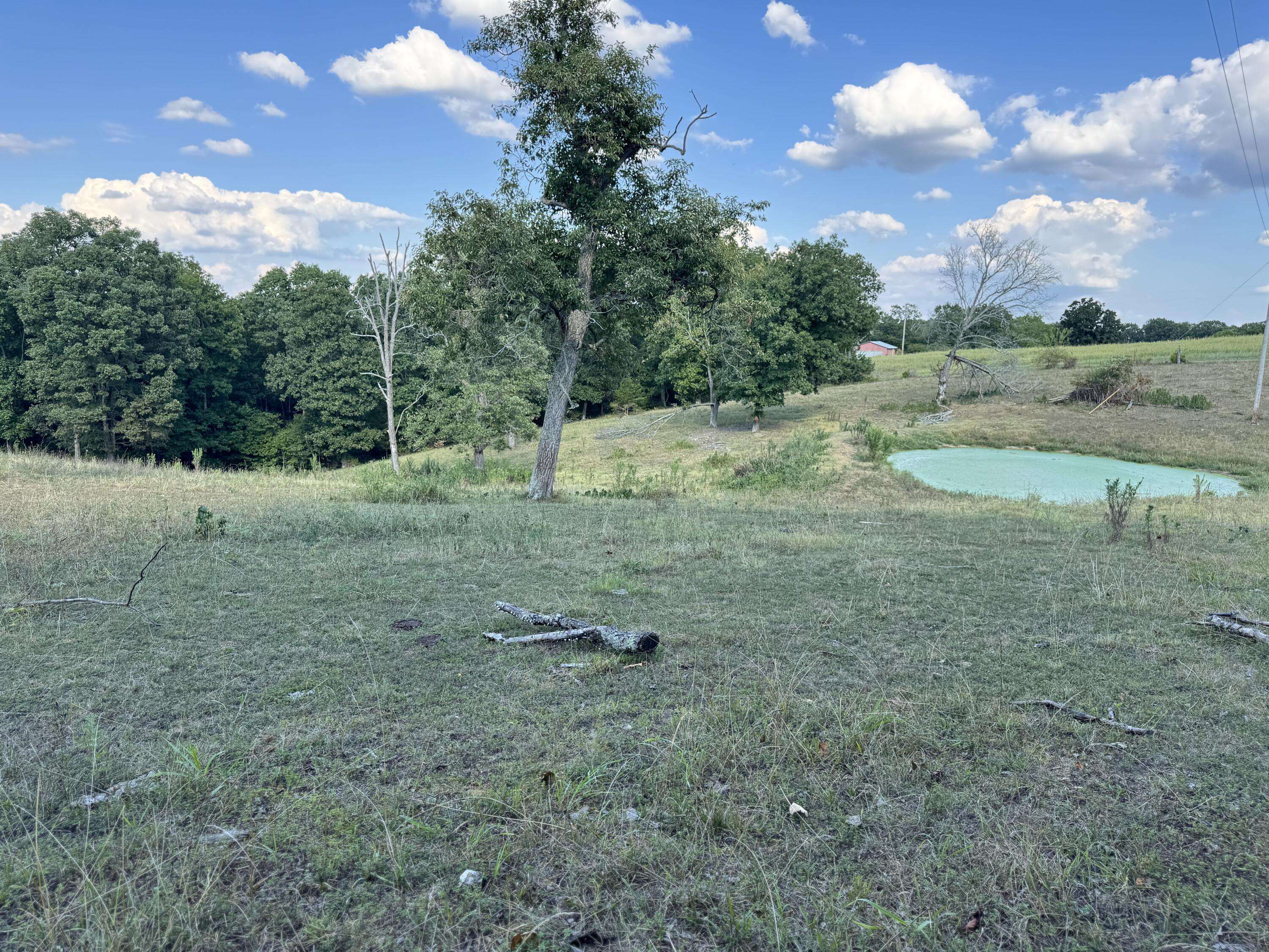 000 Center RD, Ozark, MO 65721