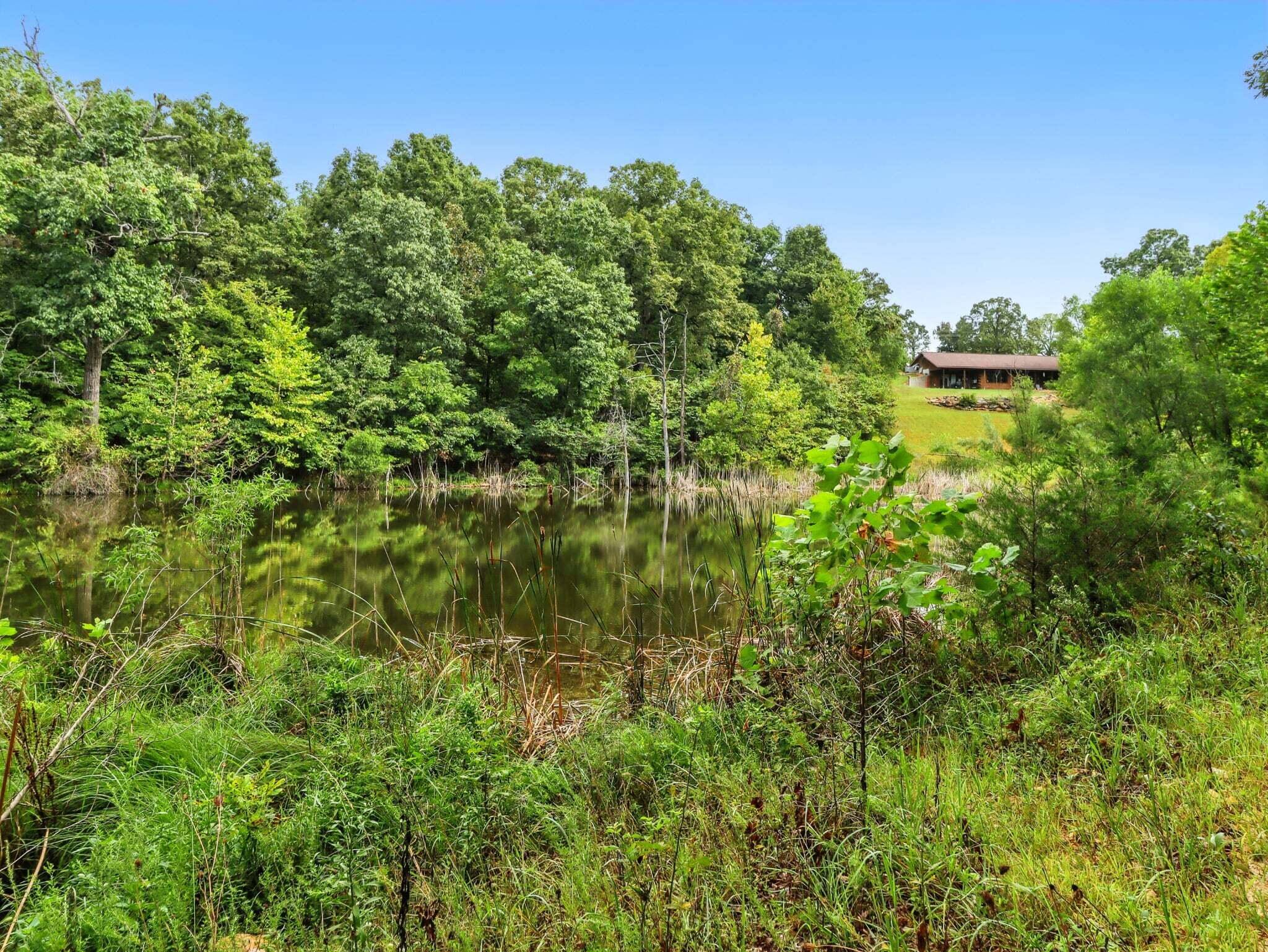2186 County Road 502, Gainesville, MO 65655