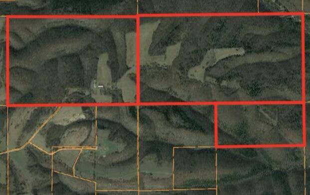 27255 Farm Road 2090, Cape Fair, MO 65624