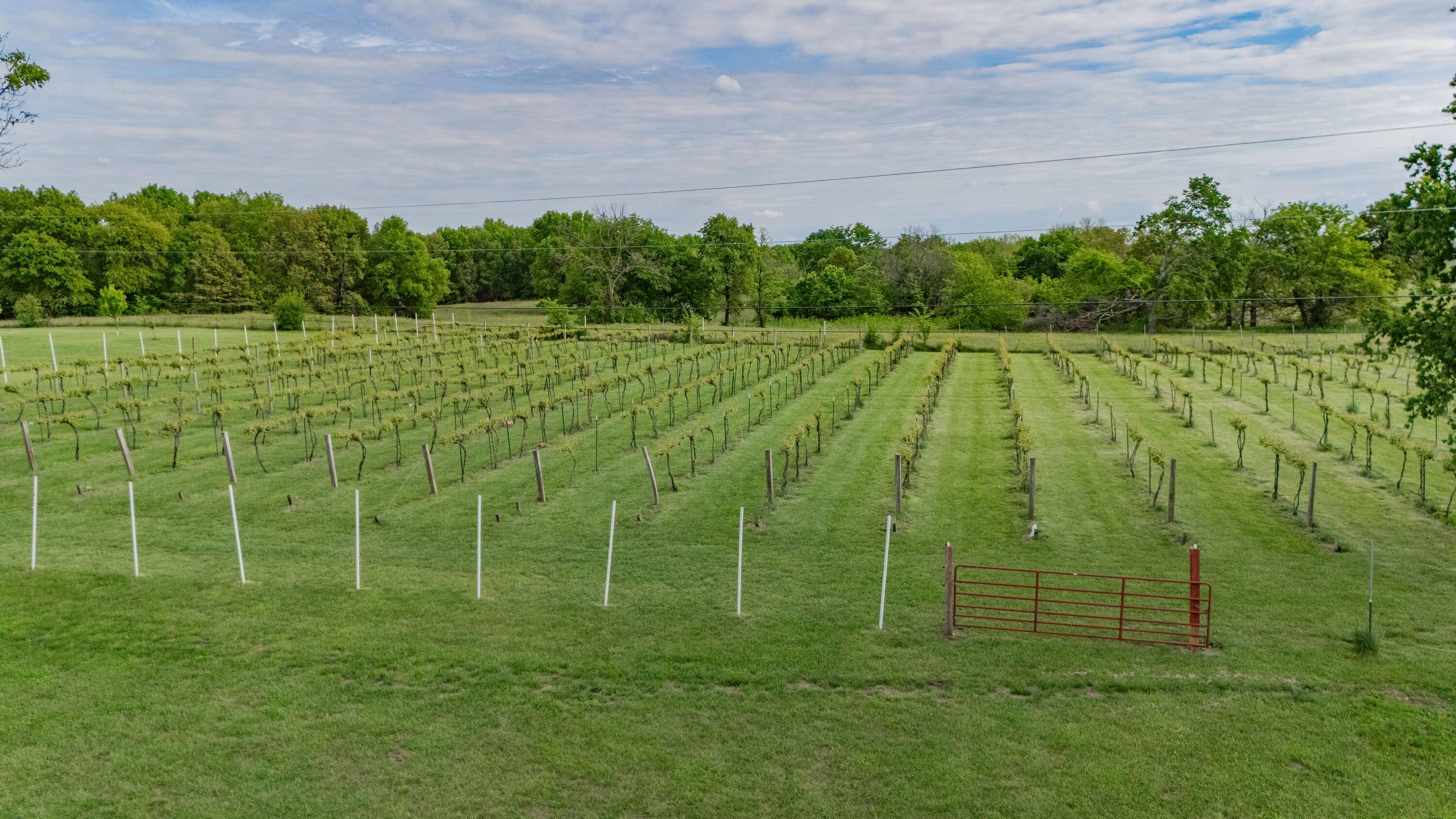 8400 E 1320 RD, Stockton, MO 65785
