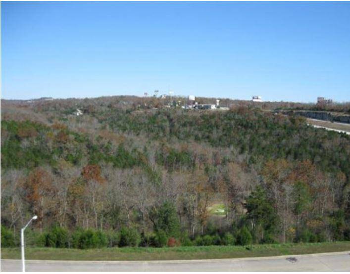 000 Ozark Scenic DR, Branson, MO 65616