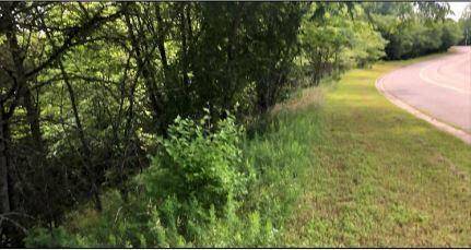000 Ozark Scenic DR, Branson, MO 65616
