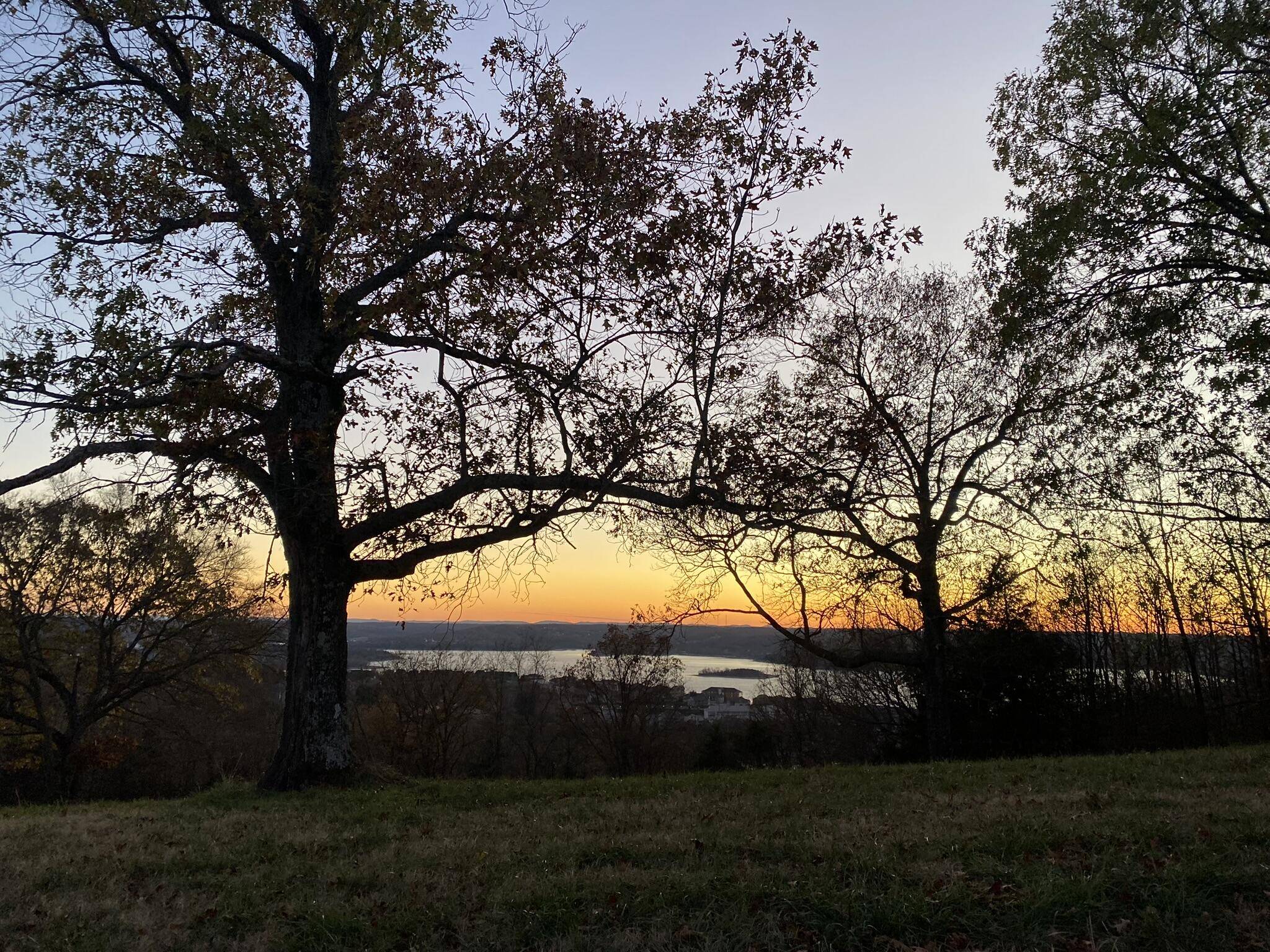 Tbd Emerald Crest -47 Acres, Hollister, MO 65672