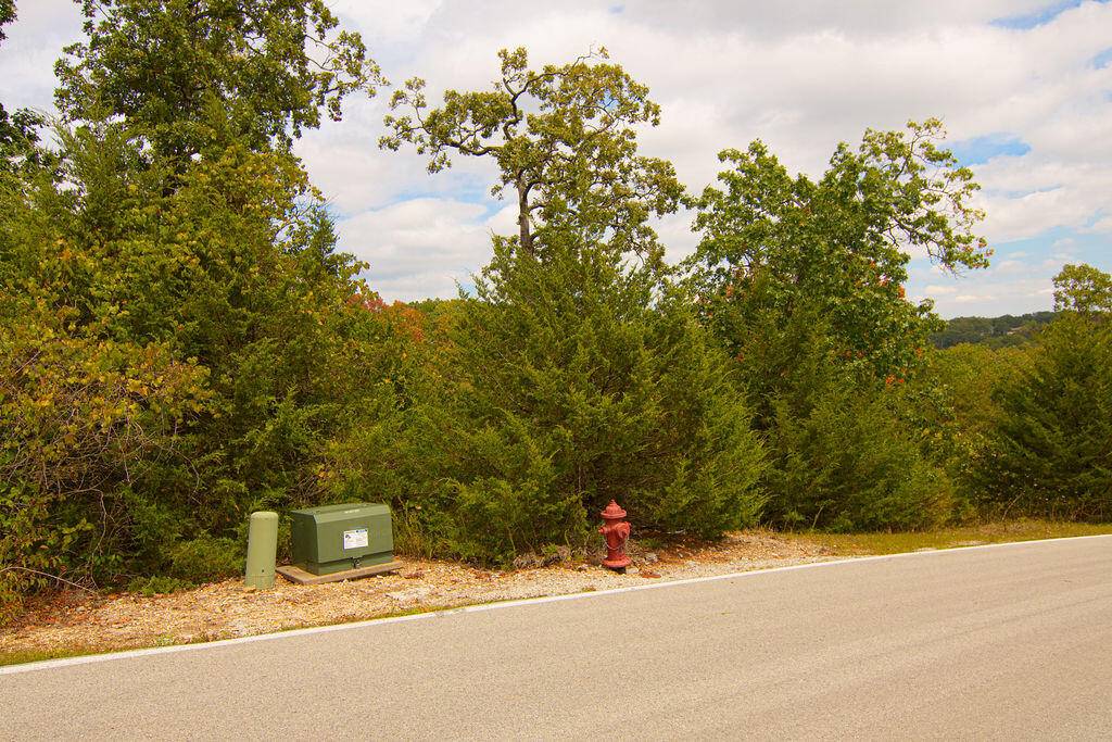 207 Black Forest LN, Branson West, MO 65737