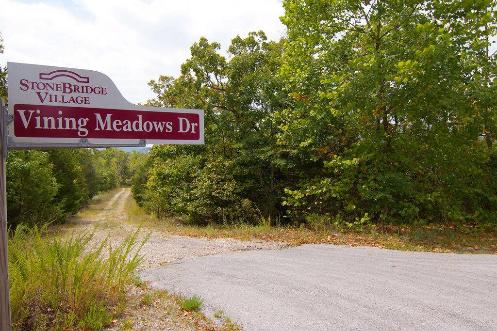 Tbd Vining Meadows DR, Branson West, MO 65737