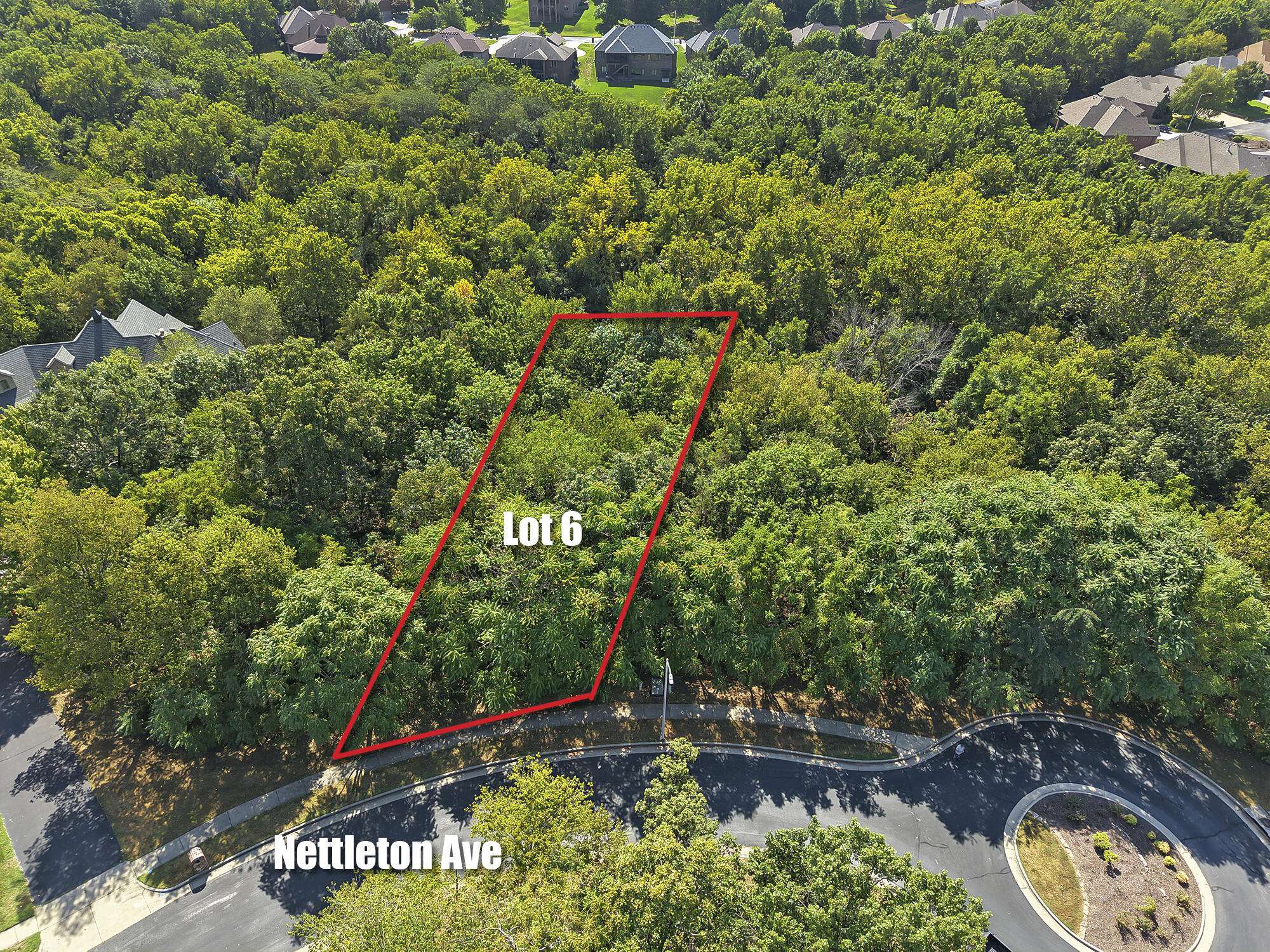 5204 S Nettleton AVE, Springfield, MO 65810
