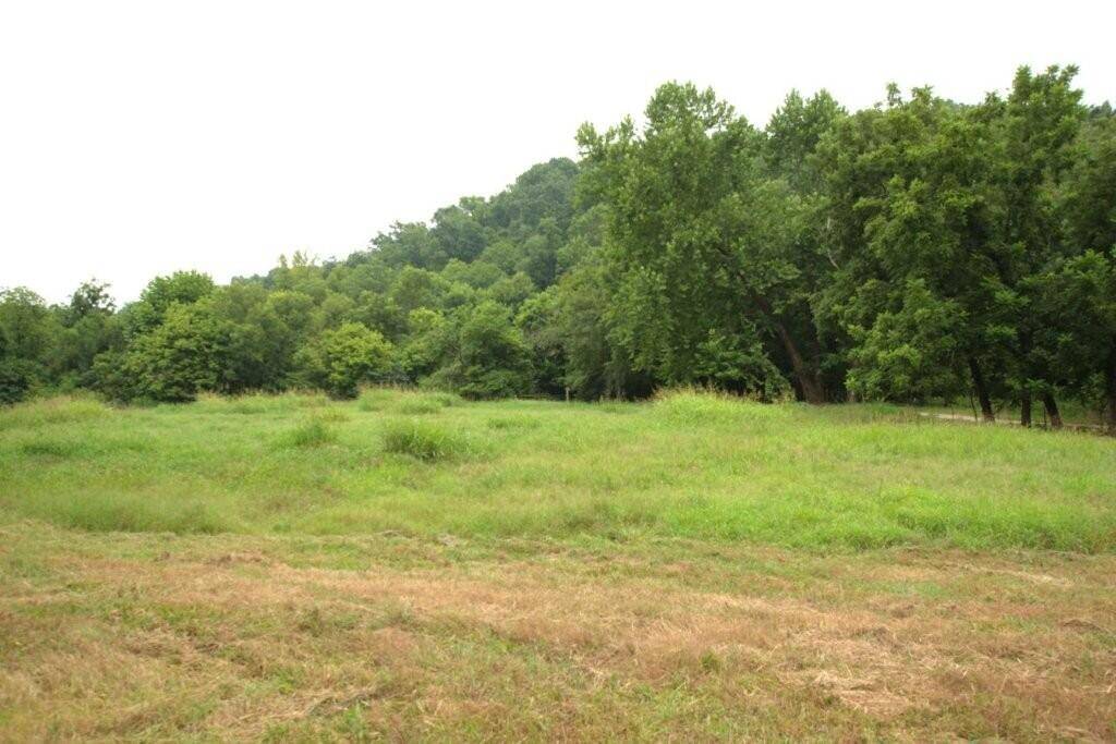 10.75acres Younkers LN, Noel, MO 64854