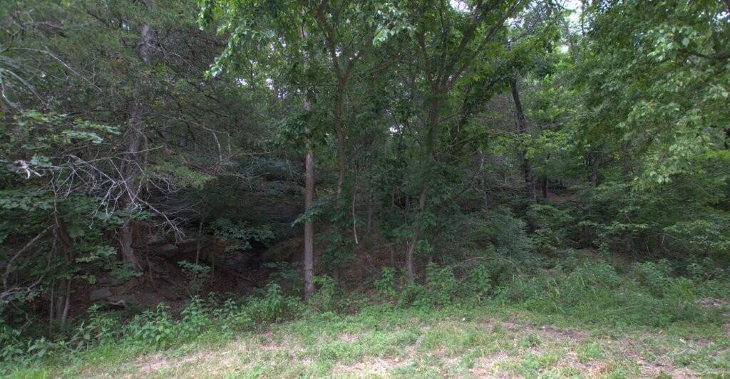 10.75acres Younkers LN, Noel, MO 64854