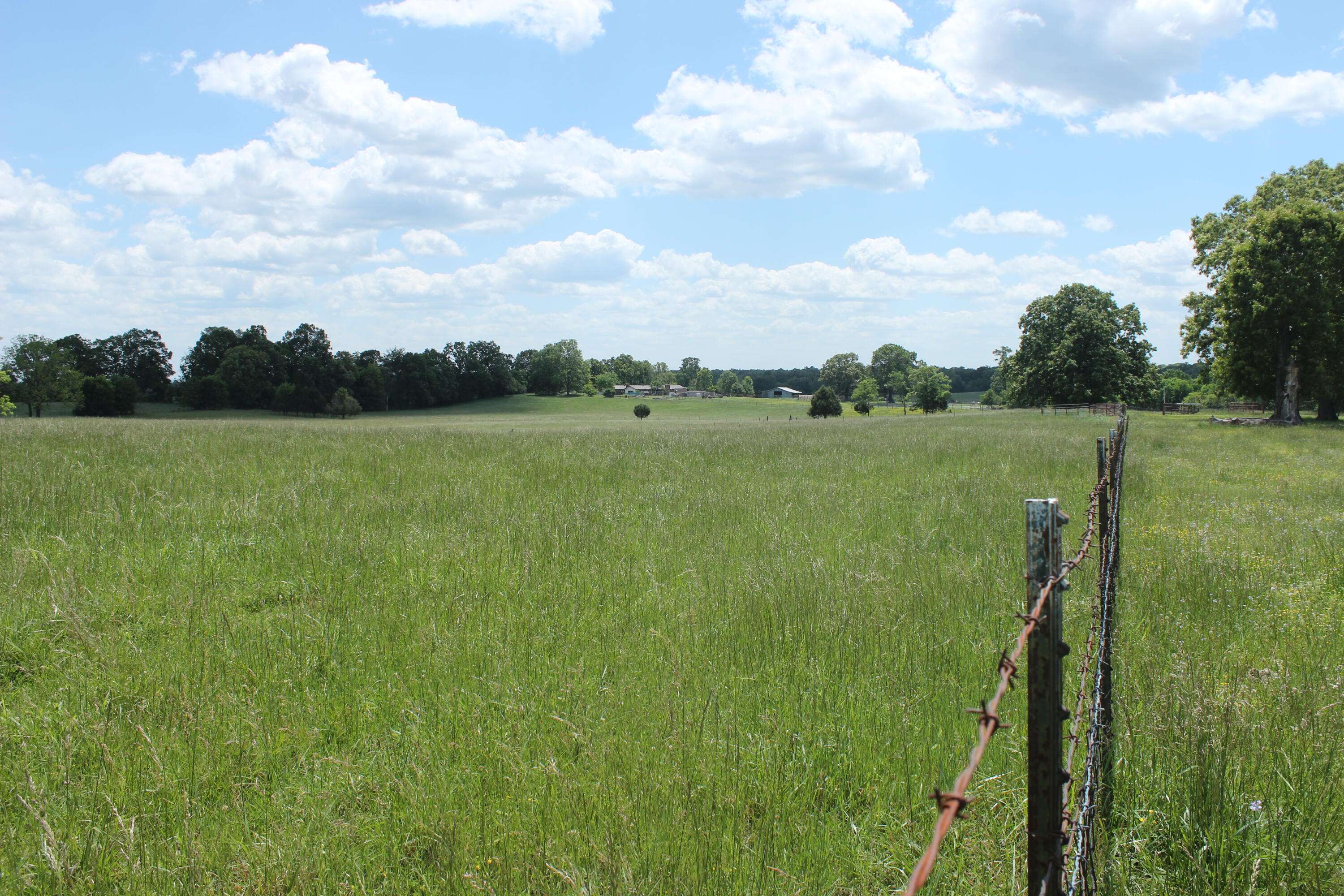 2231 W Highway, Thayer, MO 65791