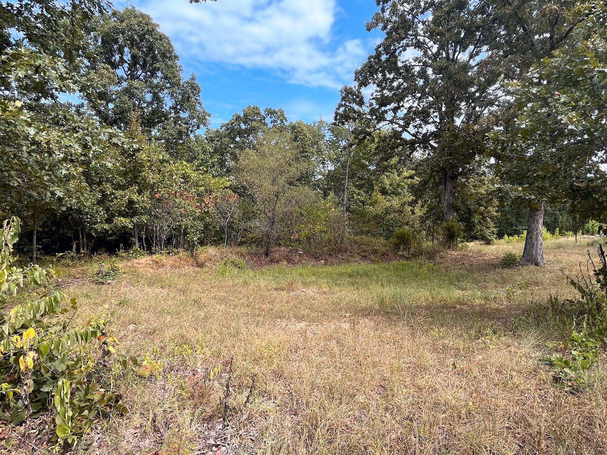 11 Wilderness TRL, Tunas, MO 65764