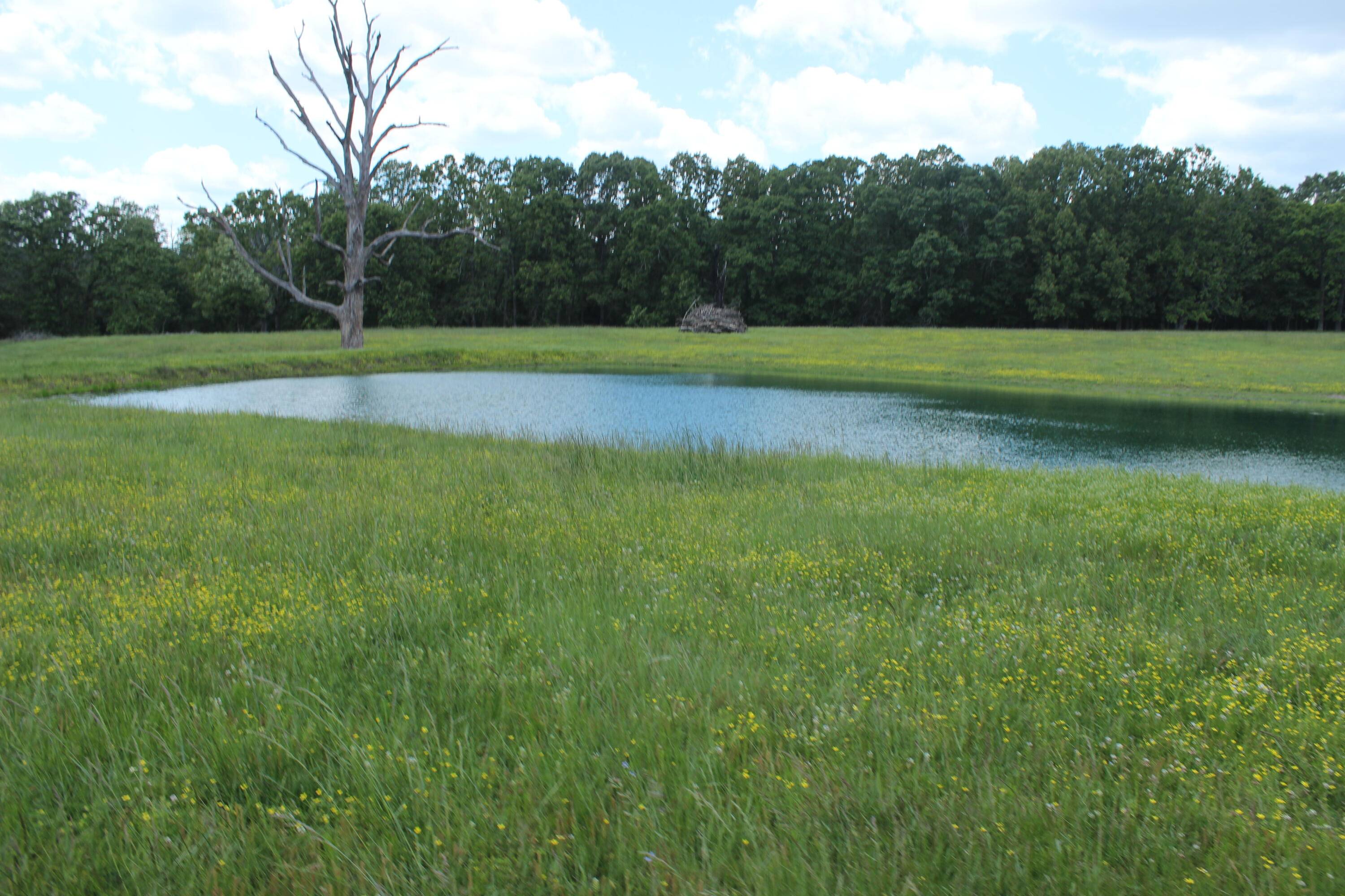2231 W Highway, Thayer, MO 65791