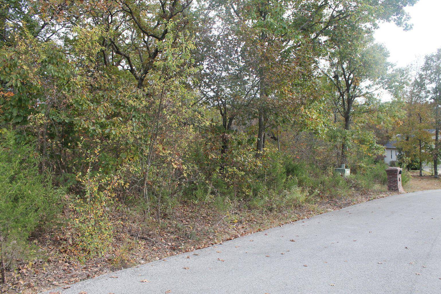 415 Silverwood CIR, Branson West, MO 65737