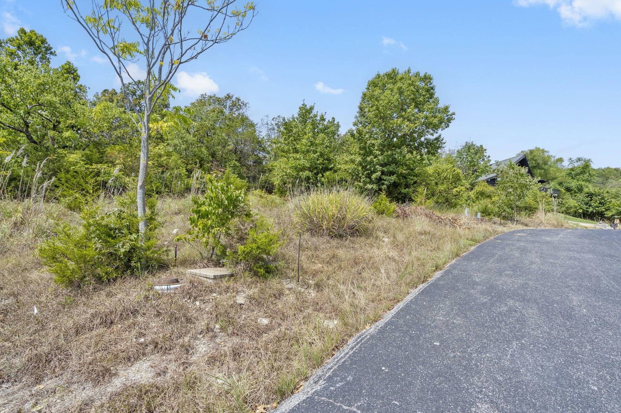 54 Lindal Cedar Lane, Branson, MO 65616