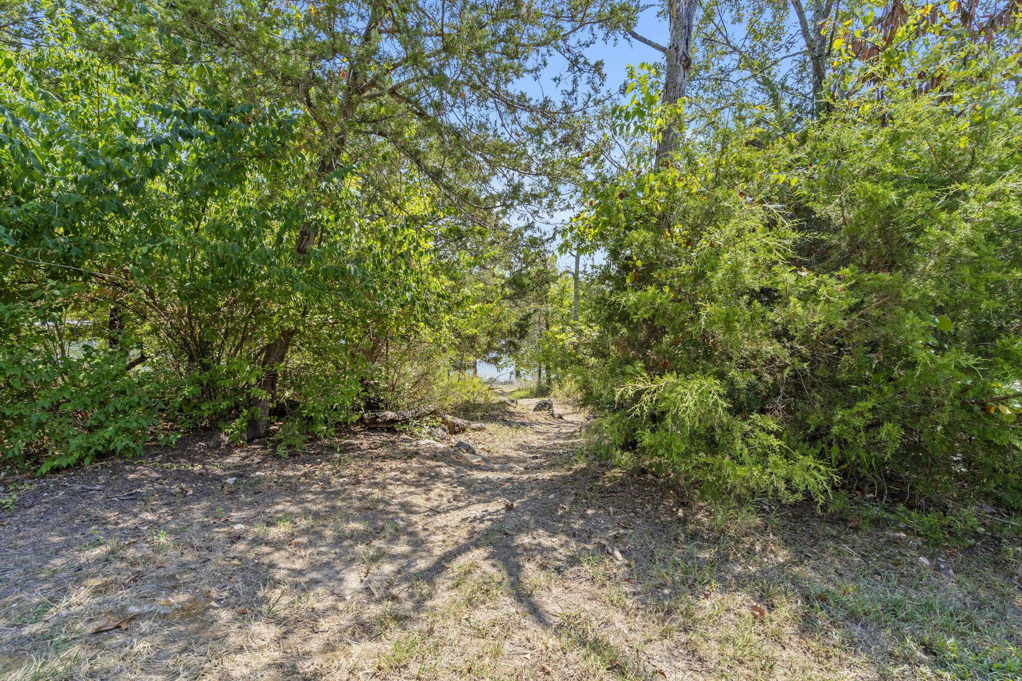 54 Lindal Cedar Lane, Branson, MO 65616
