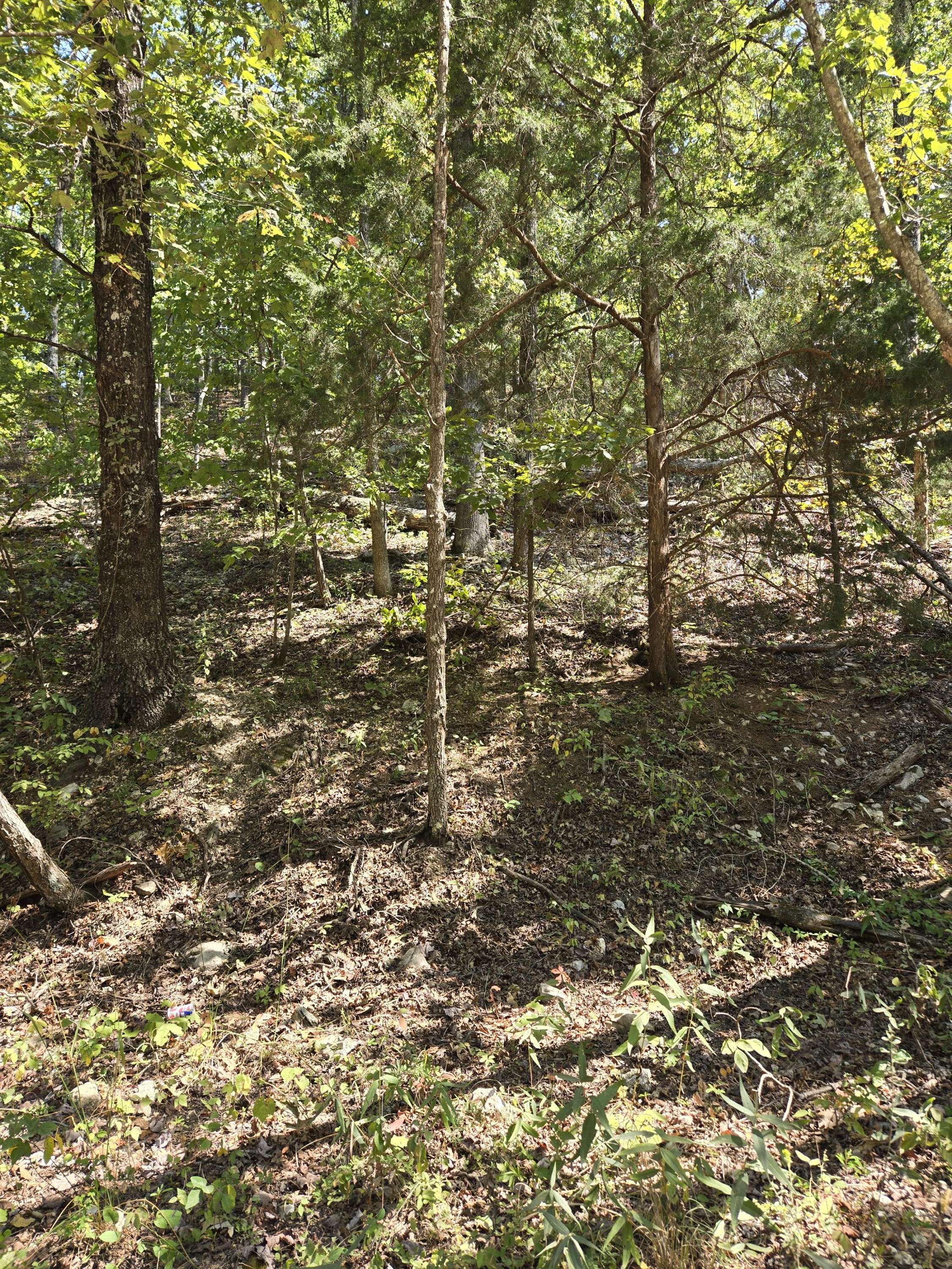 000 County Road 421, Birch Tree, MO 65438