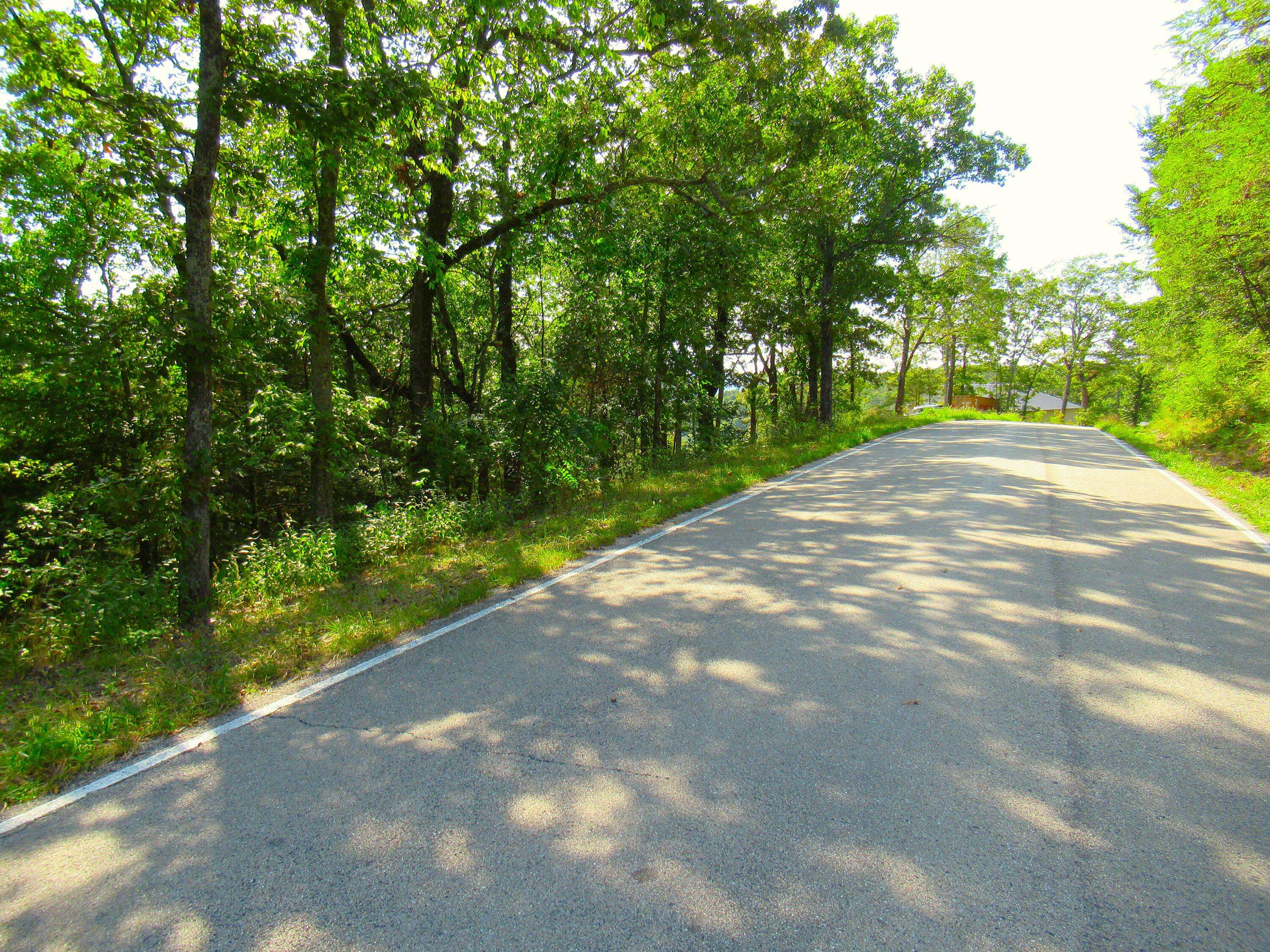 000 Stallion Bluff Rd RD, Shell Knob, MO 65747