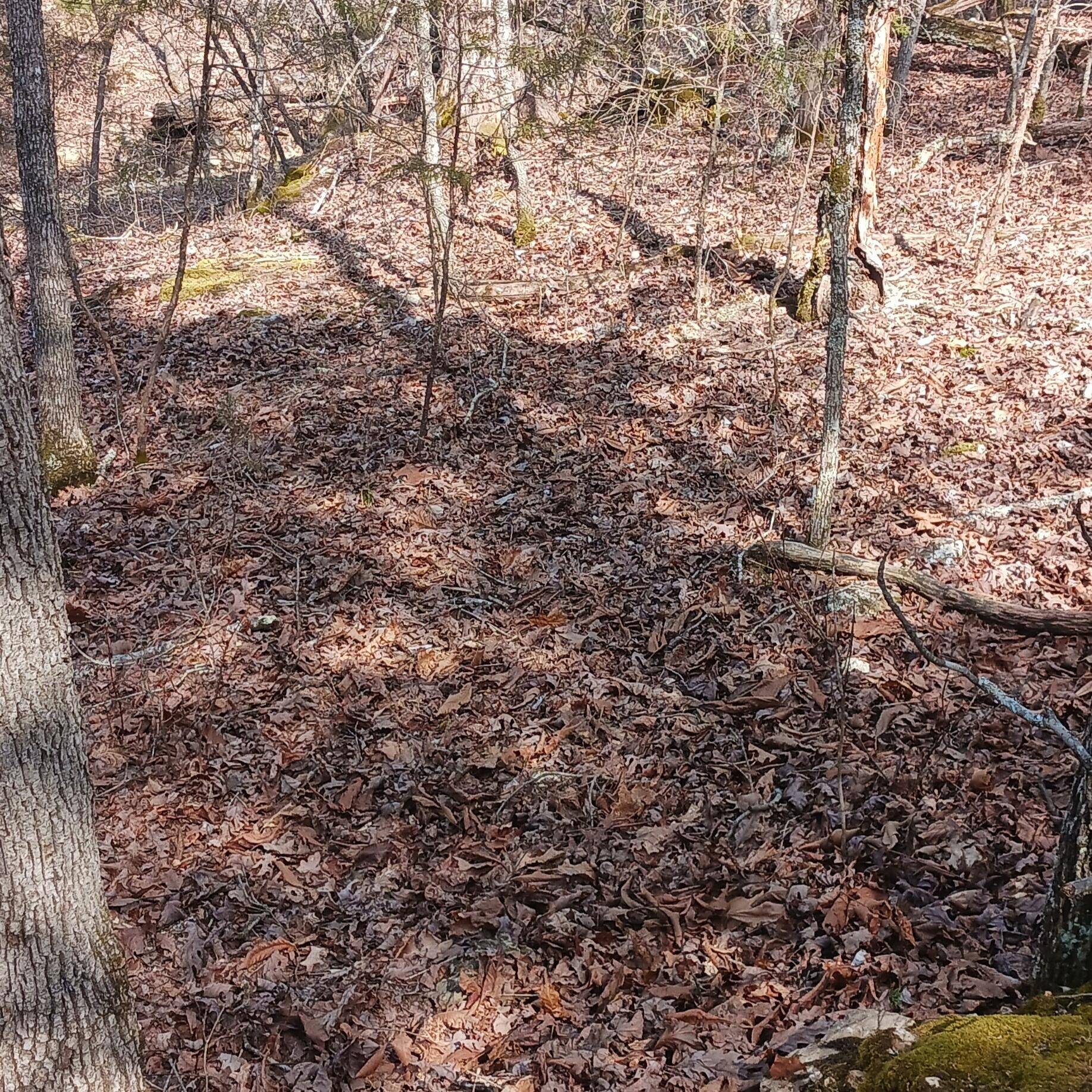 Blk3 Lot25 Elmwood Ave., Theodosia, MO 65761