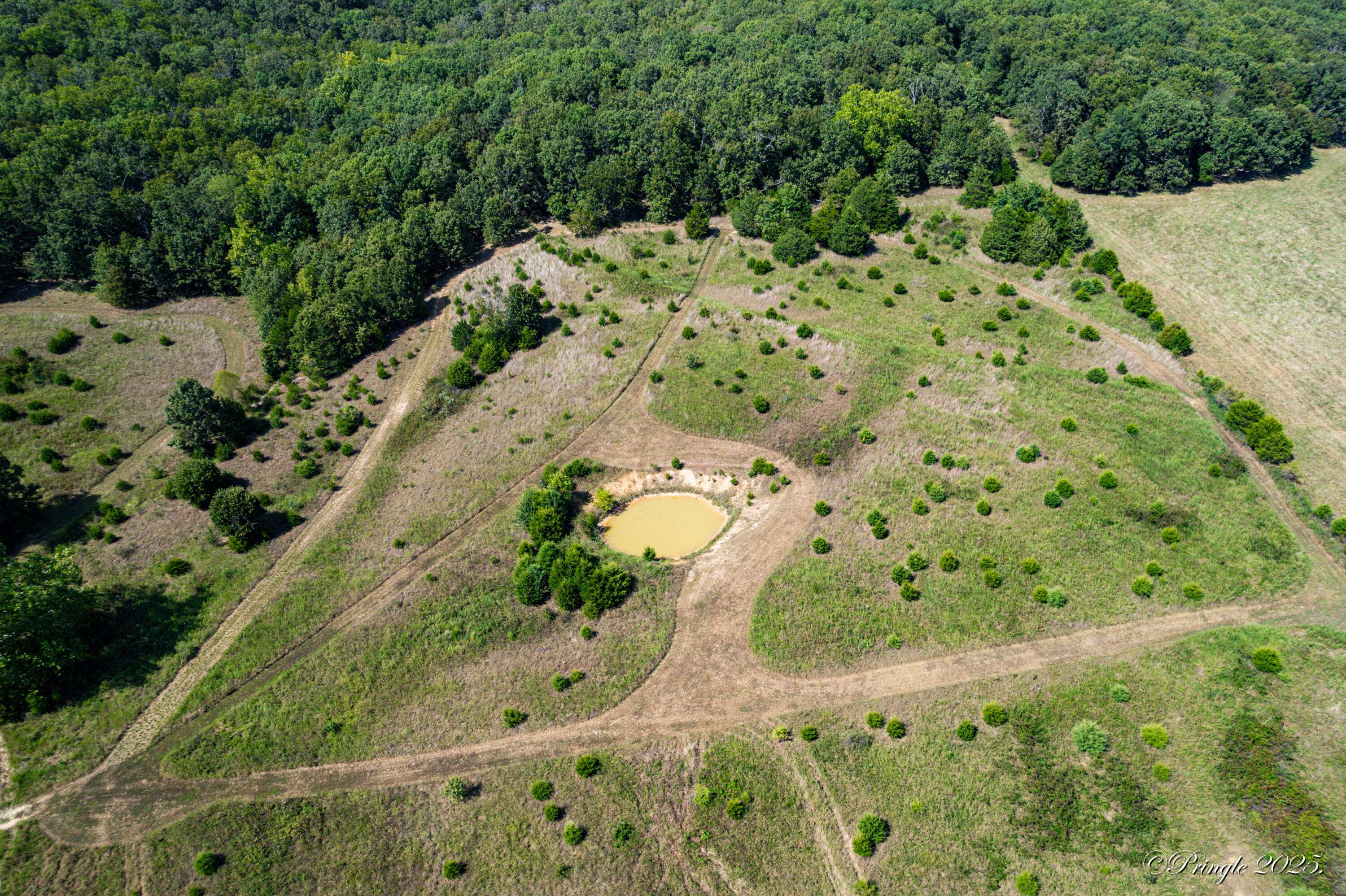 3078 County Road E 14-353, Drury, MO 65638