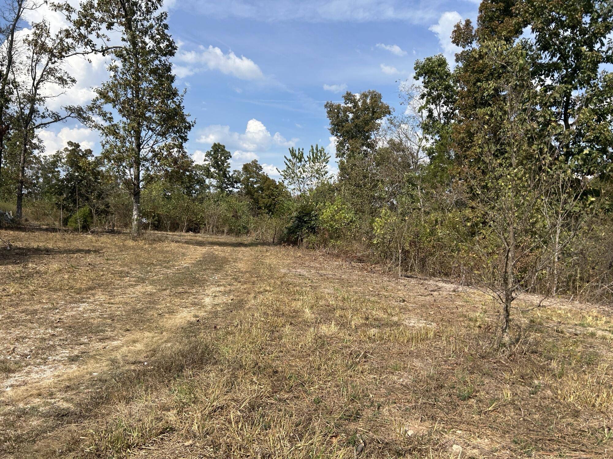 Hc 73 Box 4925 (Track 20), Drury, MO 65638