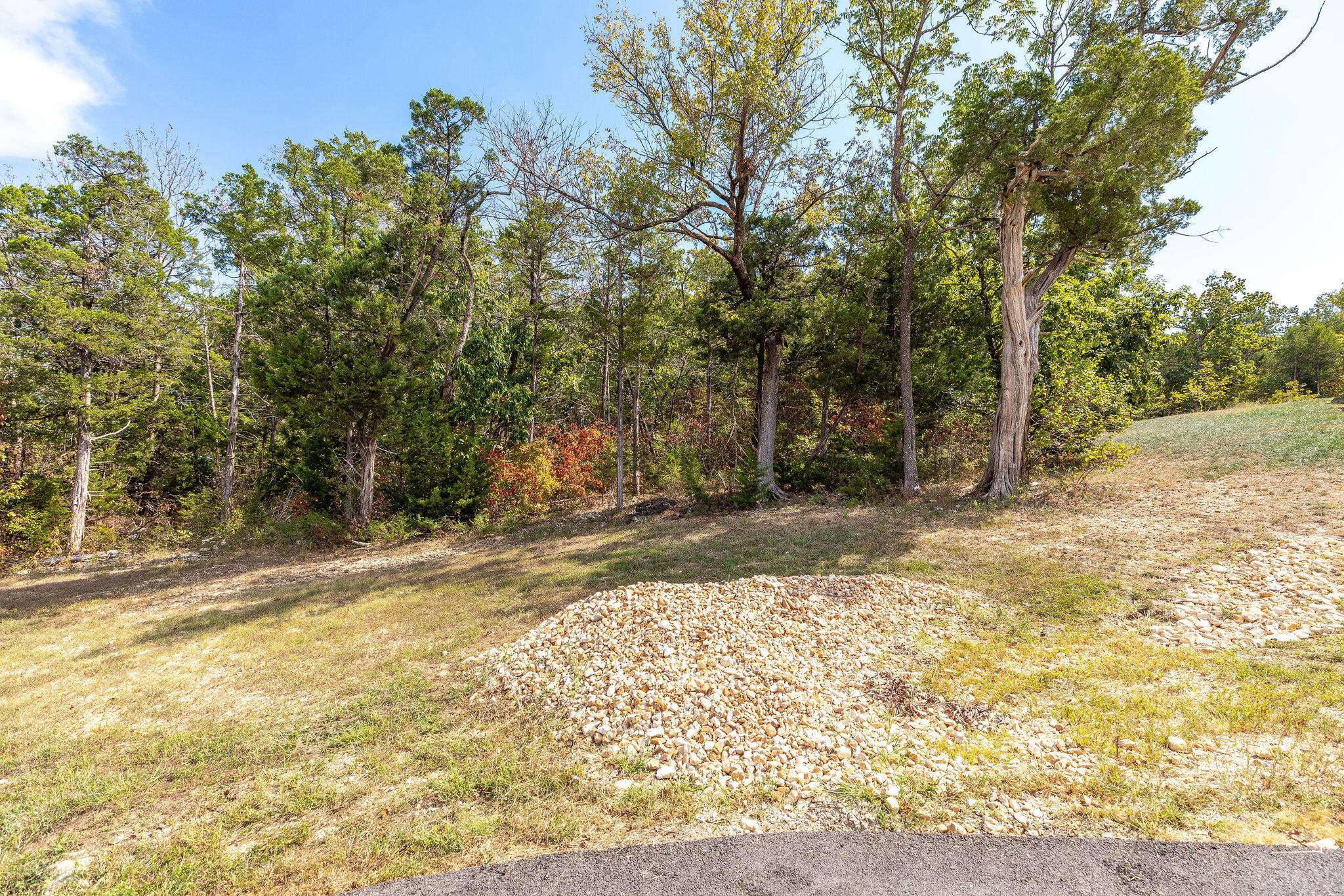 Lot 11 White Fish Bay, Kimberling City, MO 65686