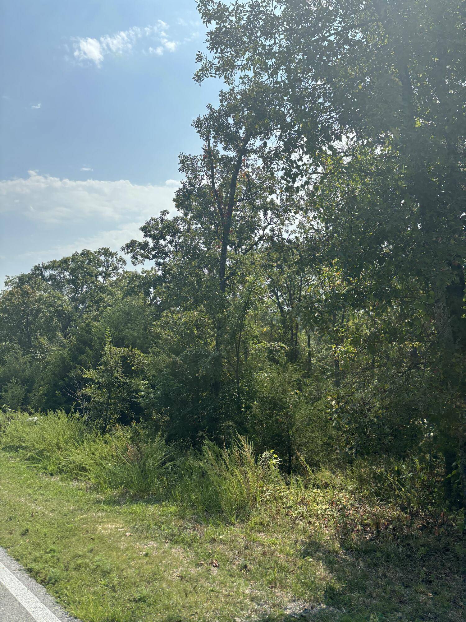 Lot #3 Fox Hollow RD, Branson West, MO 65737