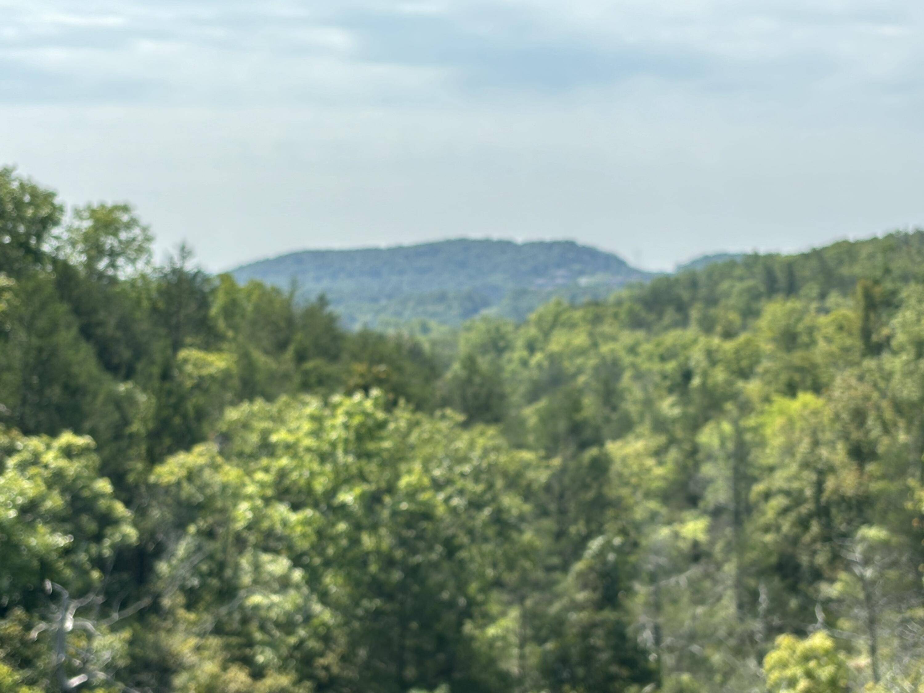 Lot #3 Fox Hollow RD, Branson West, MO 65737