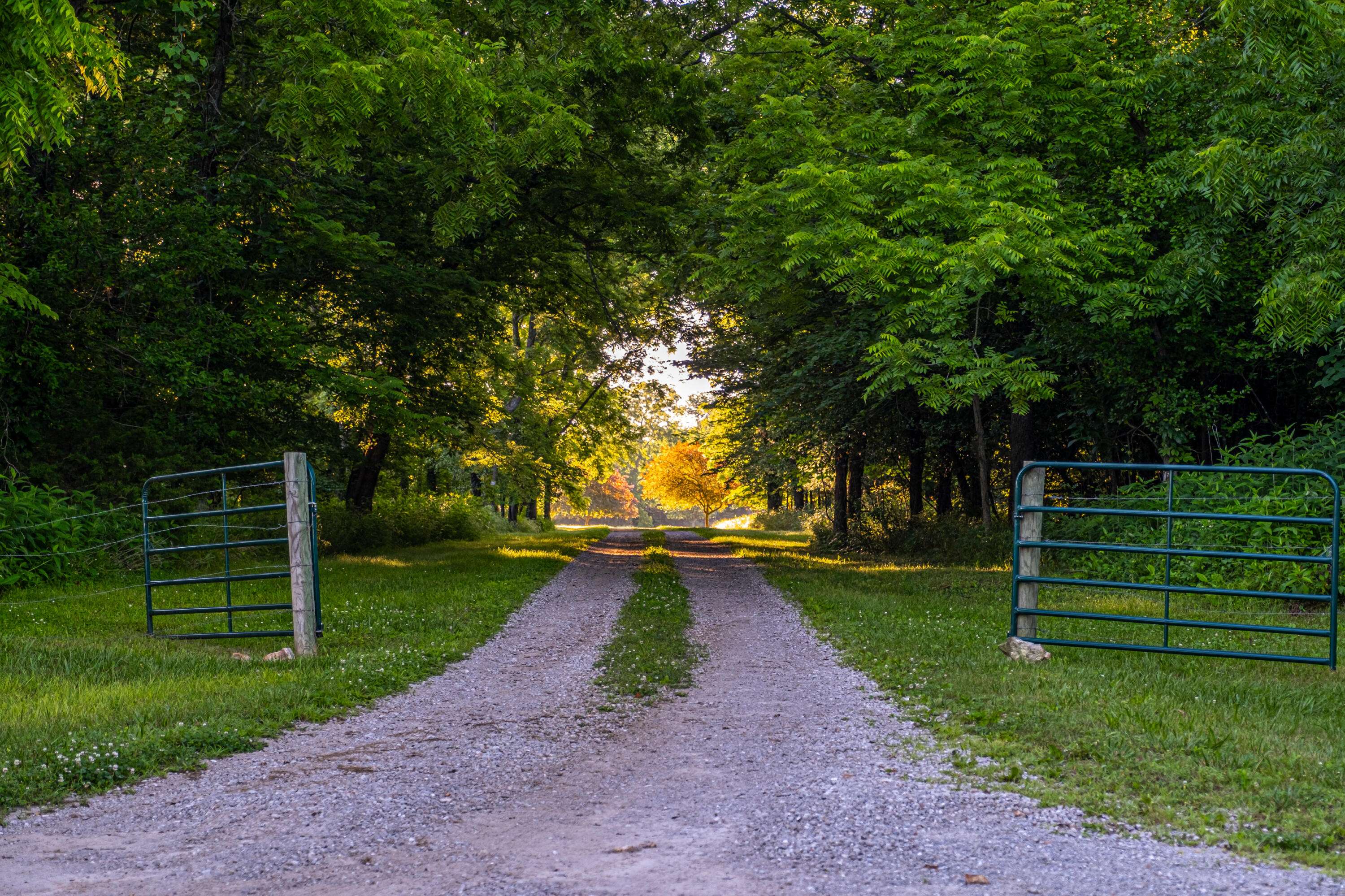 000 W Placer Lane, Willard, MO 65781
