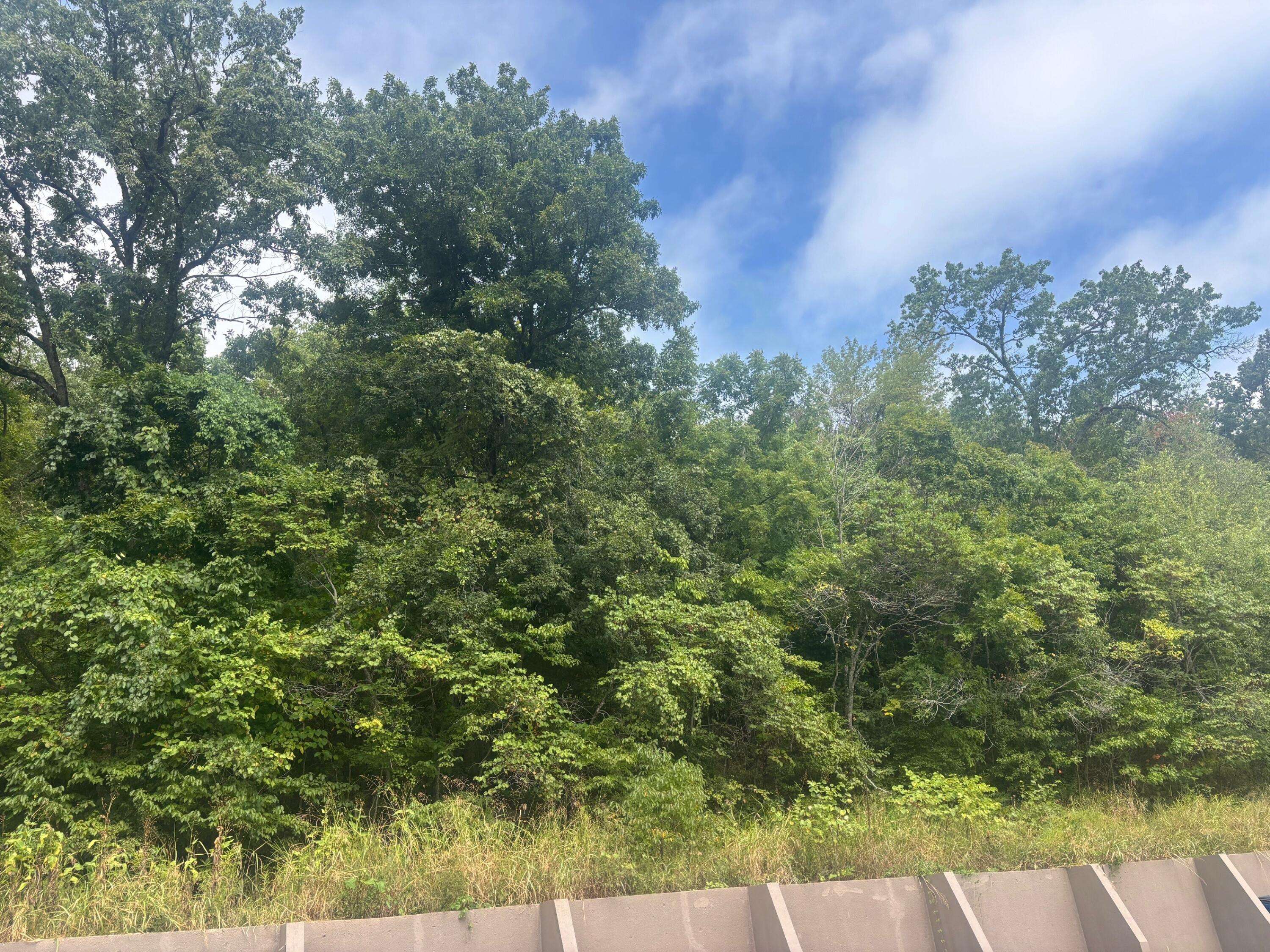 000 Fall Creek RD, Branson, MO 65616