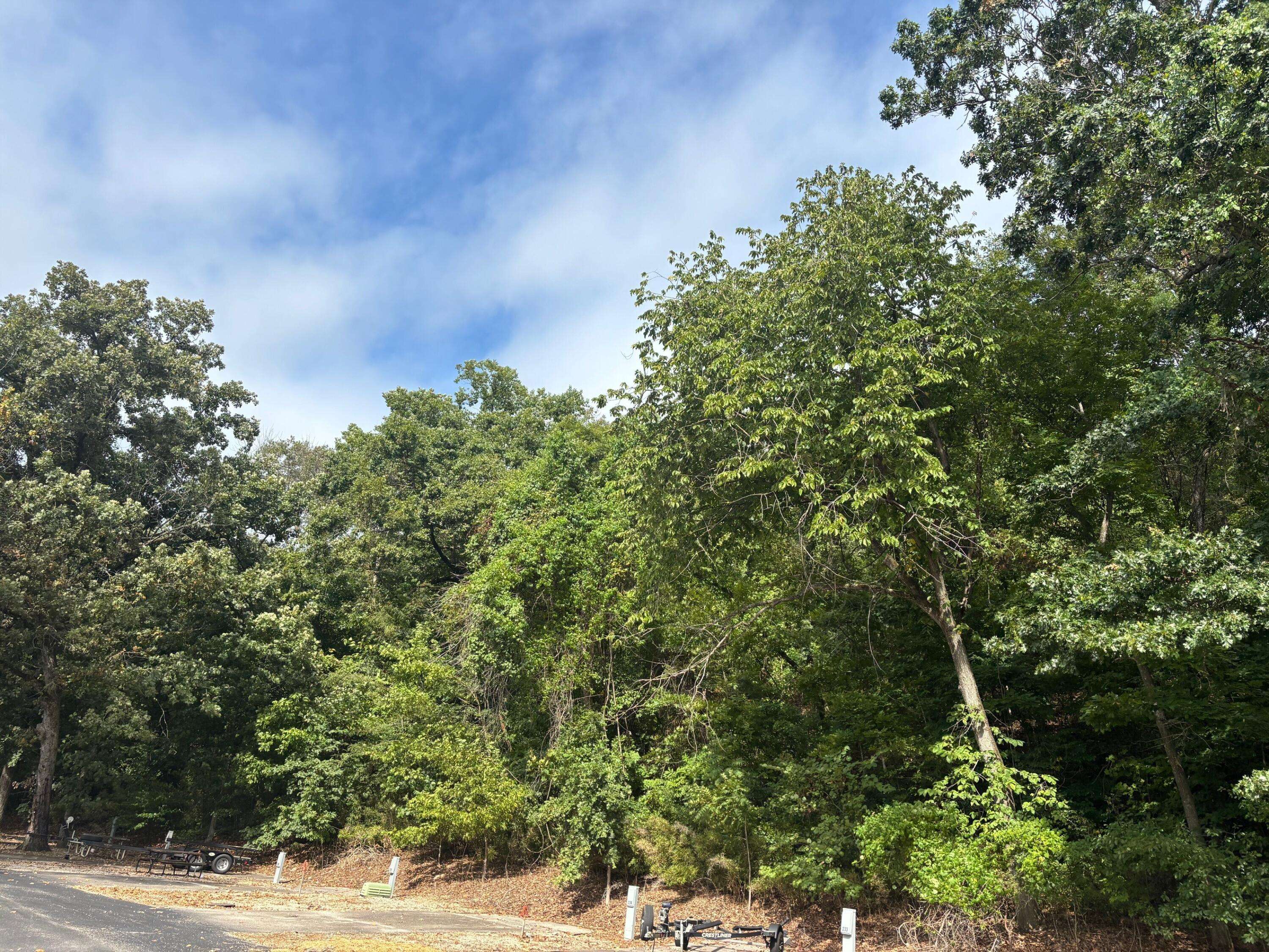 000 Fall Creek RD, Branson, MO 65616