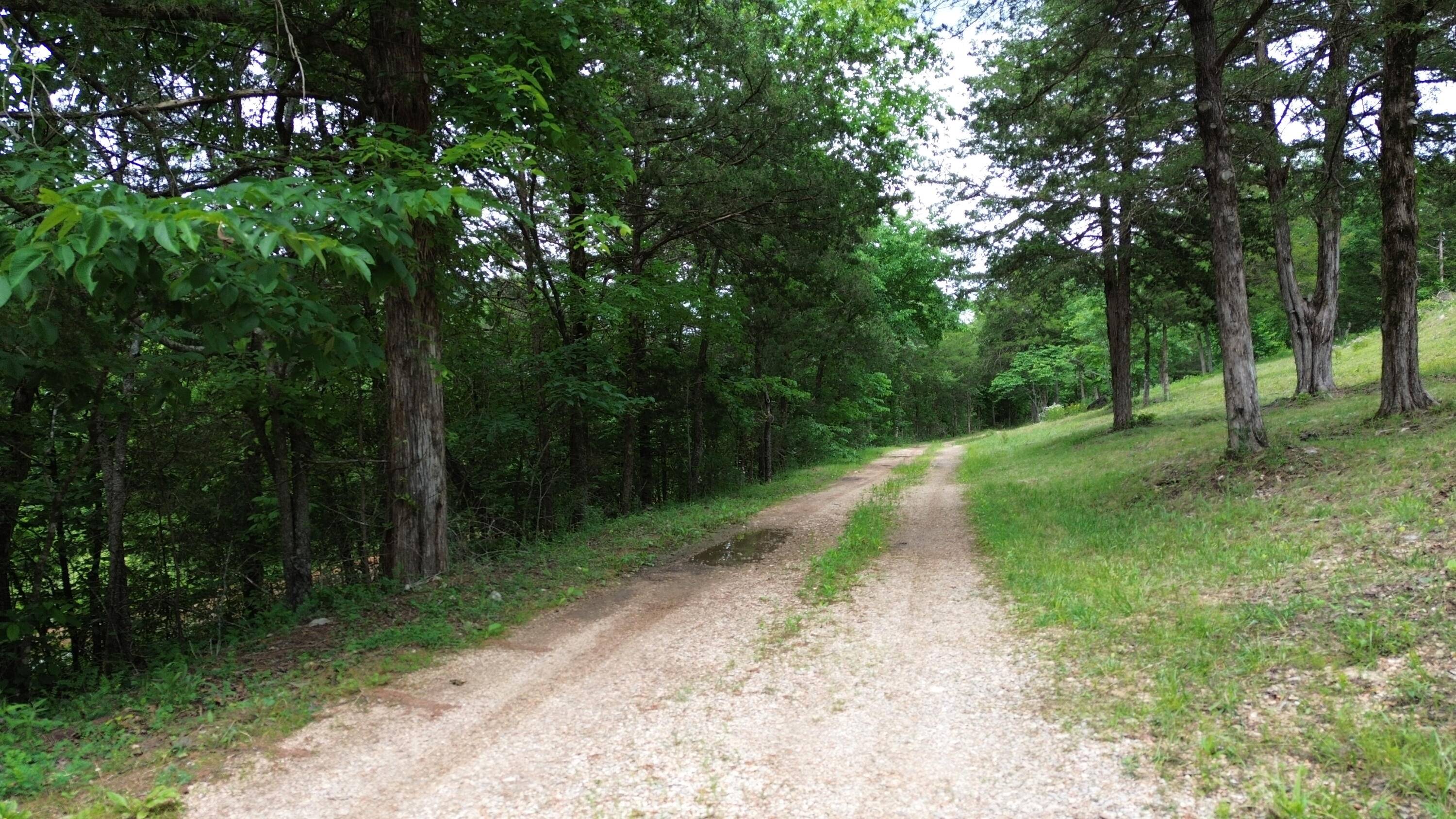 000 Farm Road 2267, Washburn, MO 65772
