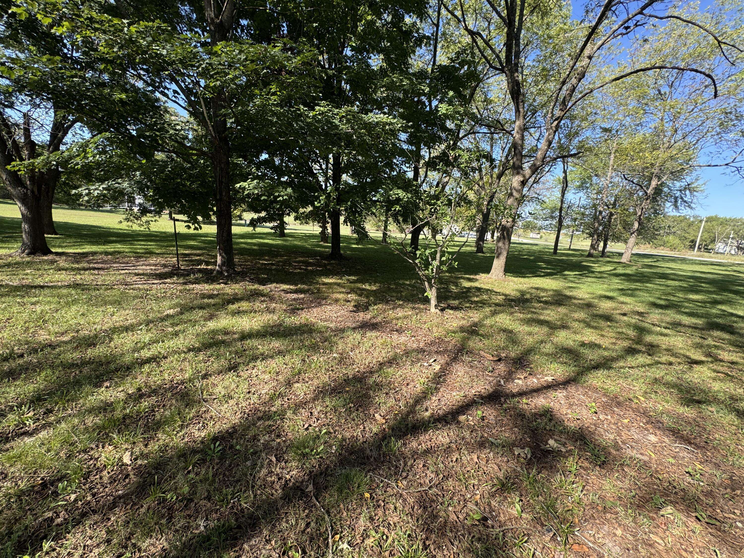238 S Clompton ST, Dadeville, MO 65635