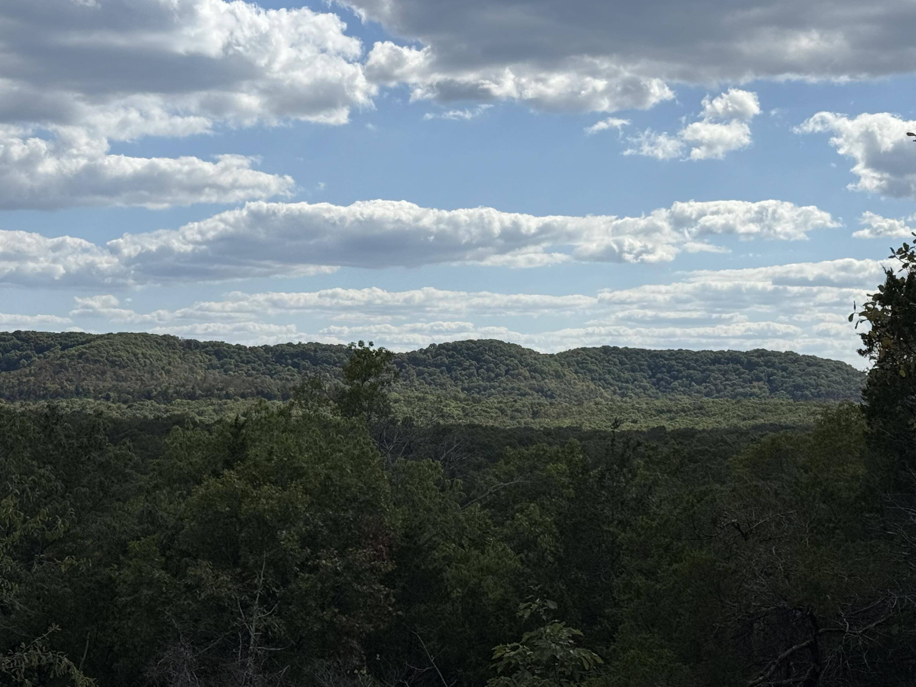 000 Mannon RD, Ava, MO 65608
