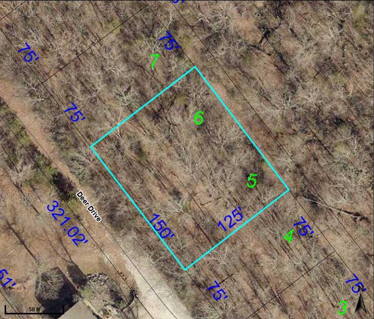190 Deer Dr, Ridgedale, MO 65739
