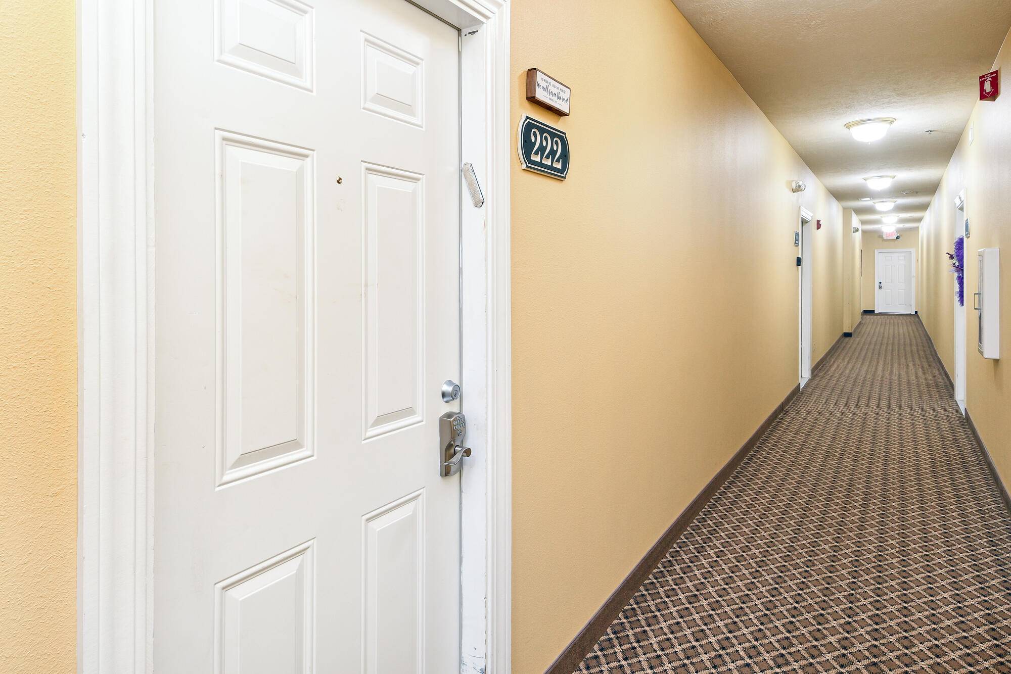 180 Grace Chapel RD #222, Blue Eye, MO 65611
