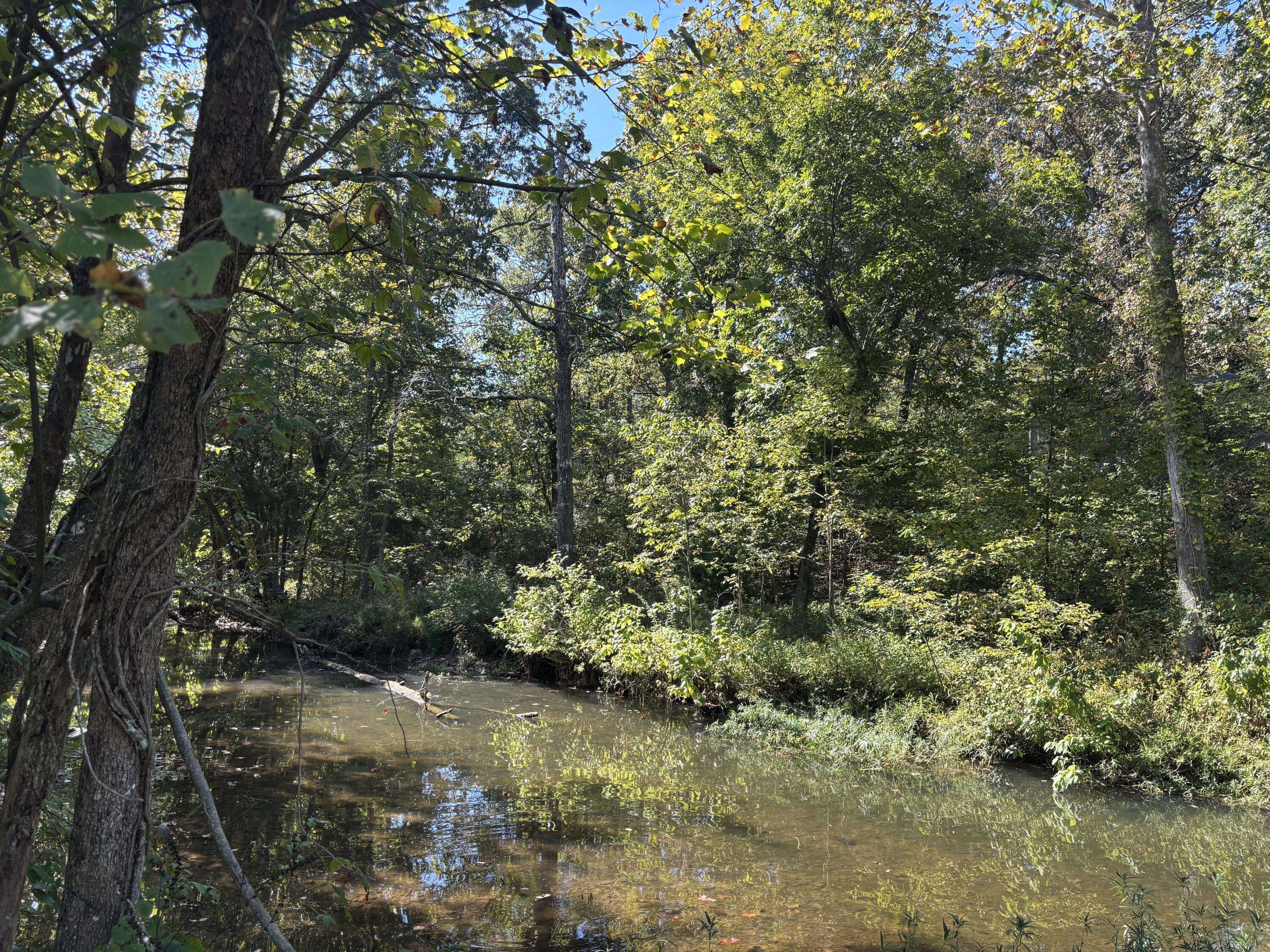 Tbd W Lakeshore Drive, Cherokee Village, AR 72529