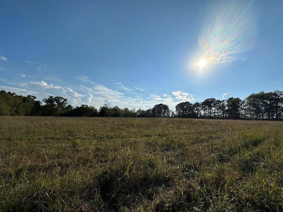 000 N HWY, Mountain Grove, MO 65711