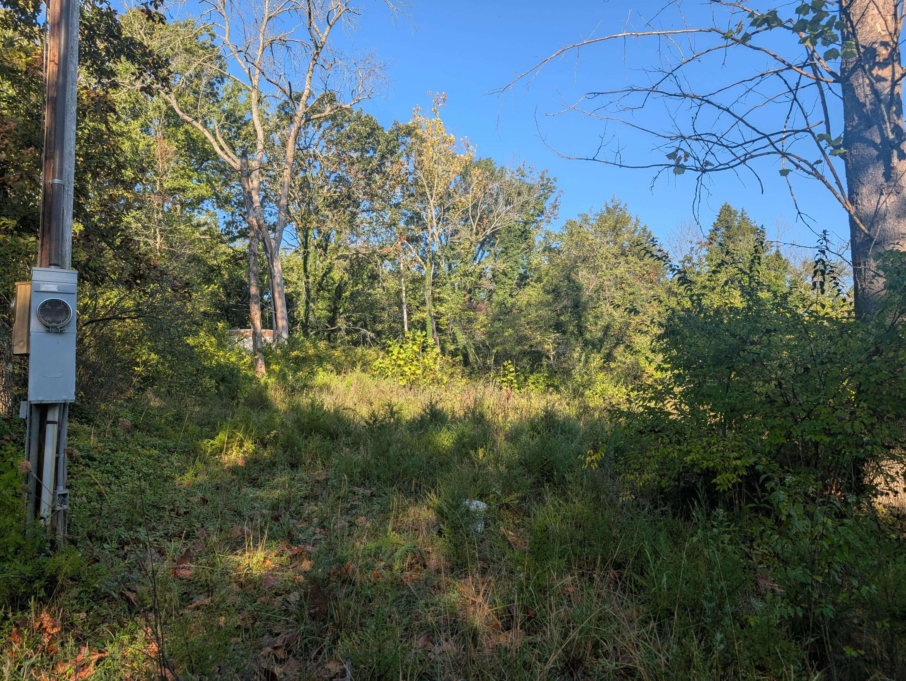 19,20,21 Turkey Mtn. Estates #2, Shell Knob, MO 65747