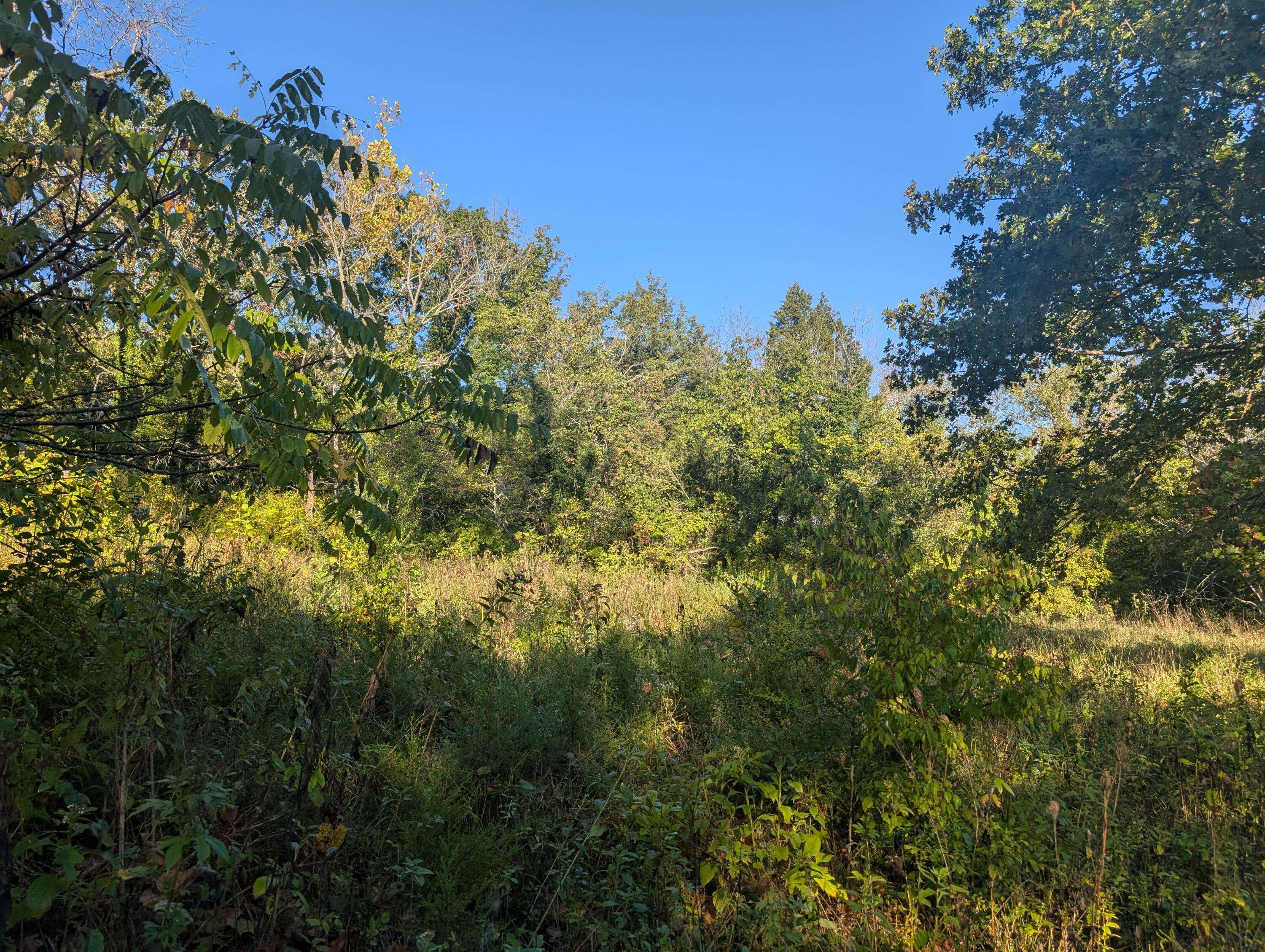 19,20,21 Turkey Mtn. Estates #2, Shell Knob, MO 65747