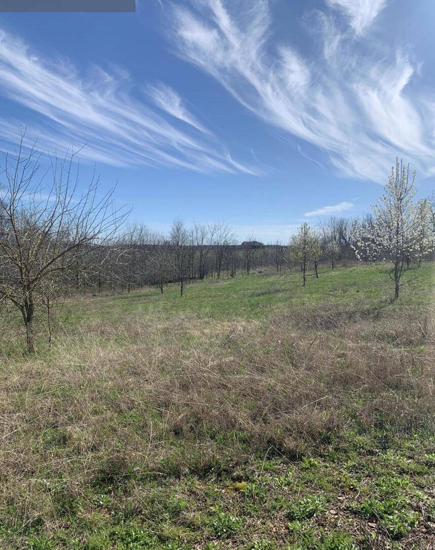 20a Black Stone DR, Republic, MO 65738