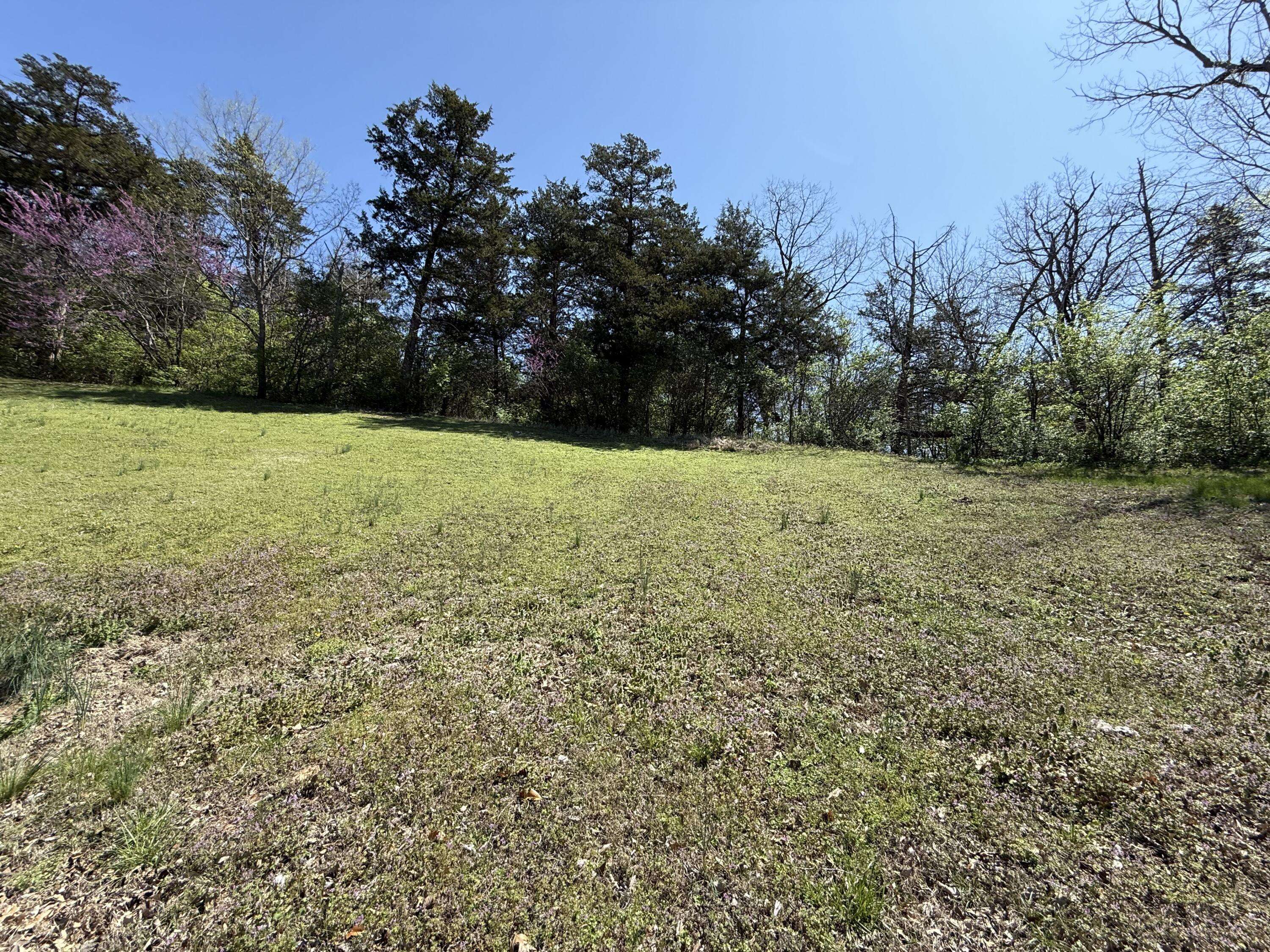 2801 W Oxbow LN, Springfield, MO 65810